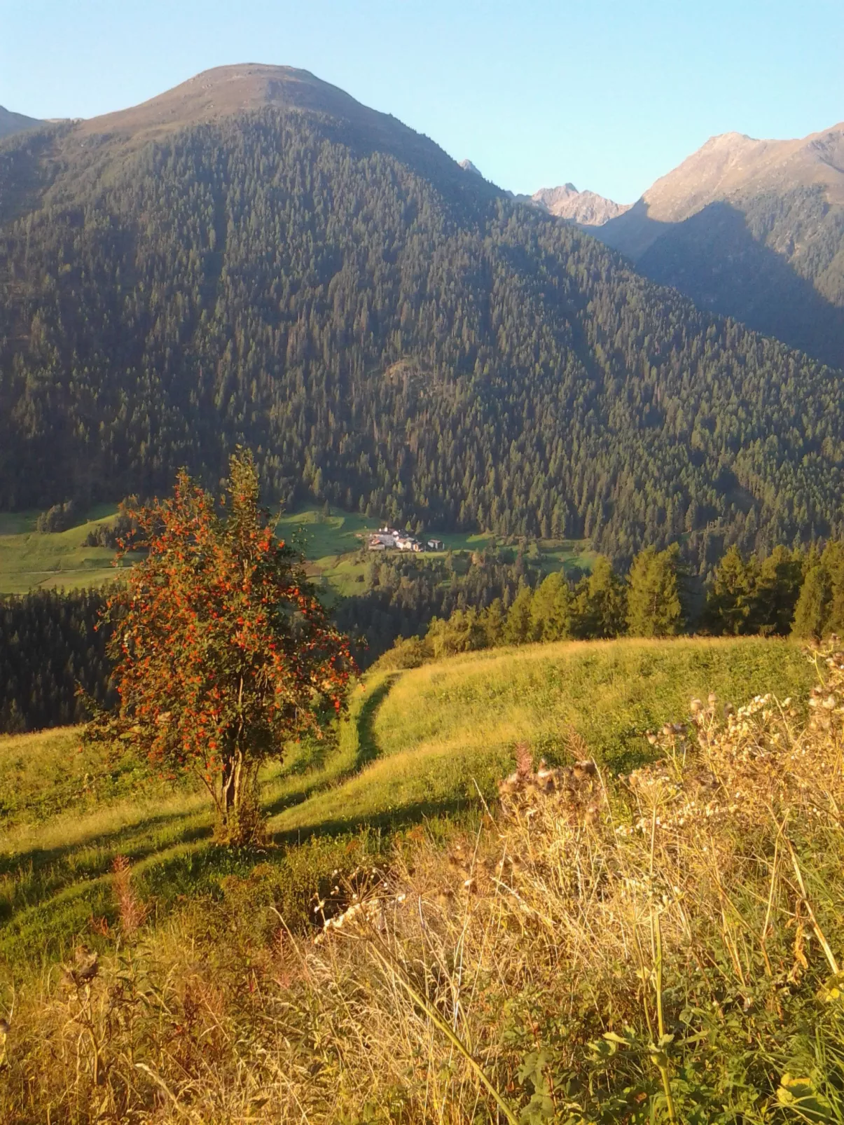 Chasa Crusch 117, (Ardez) - Dehors
