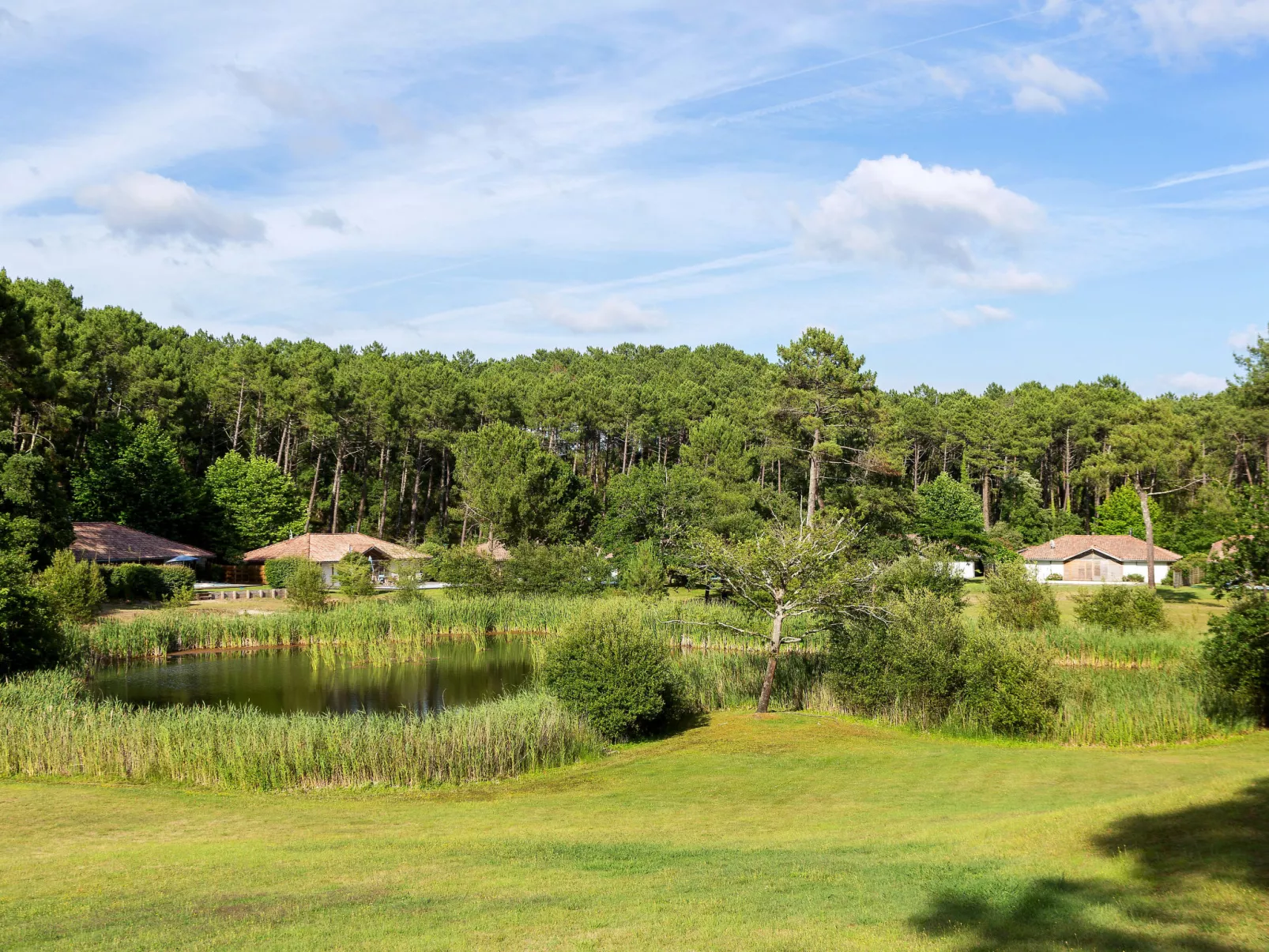 Clairière aux Chevreuils - Outside
