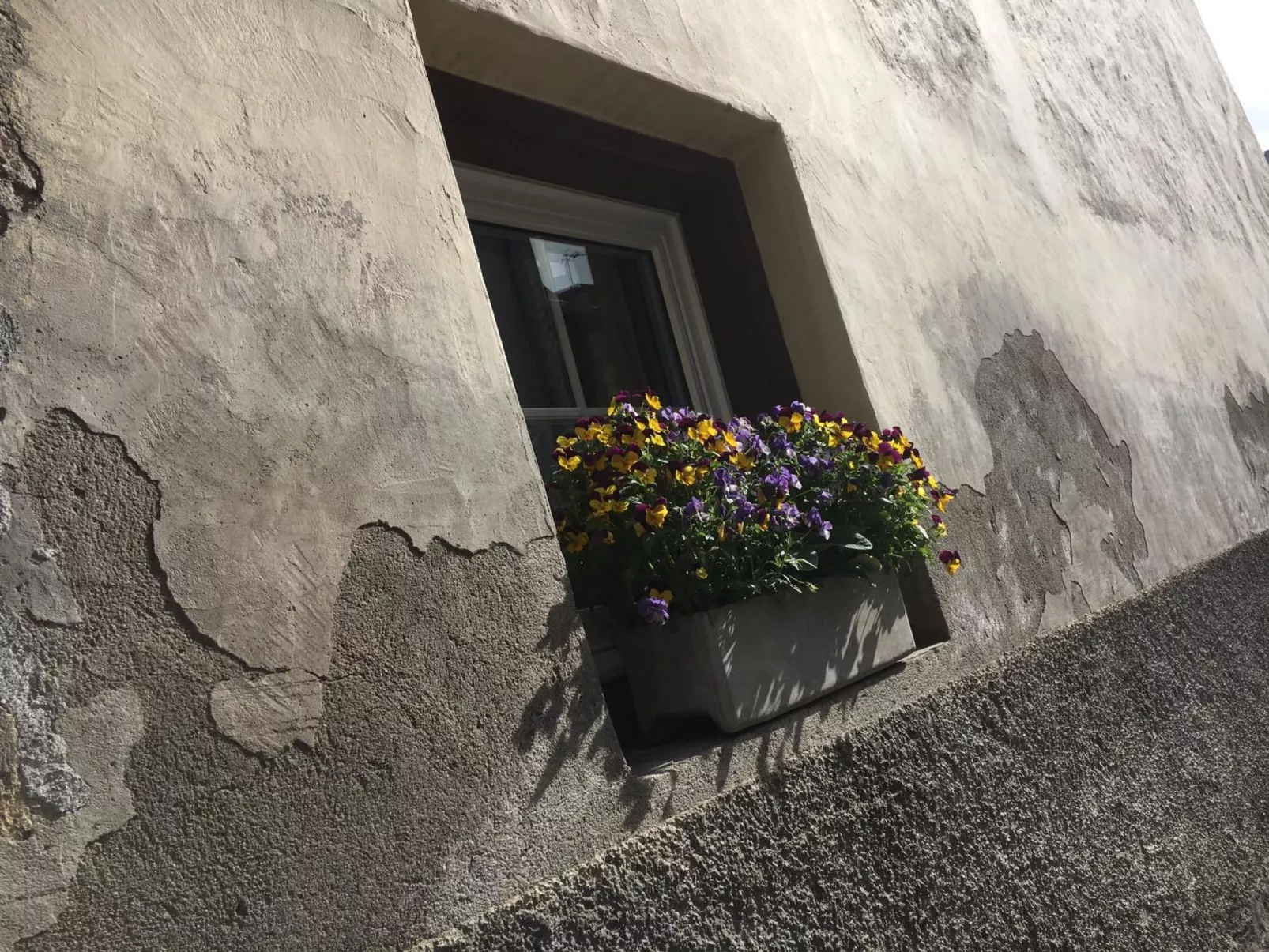 Privatzimmer bügl süt, (Sent). - Outside