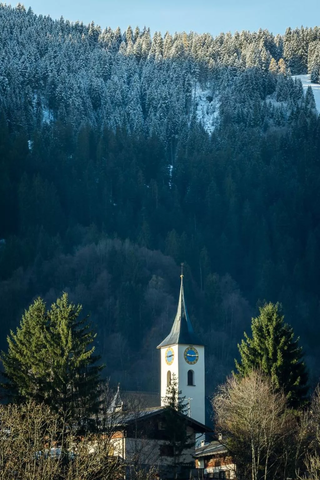 Chalet/Ferienhaus - Dehors