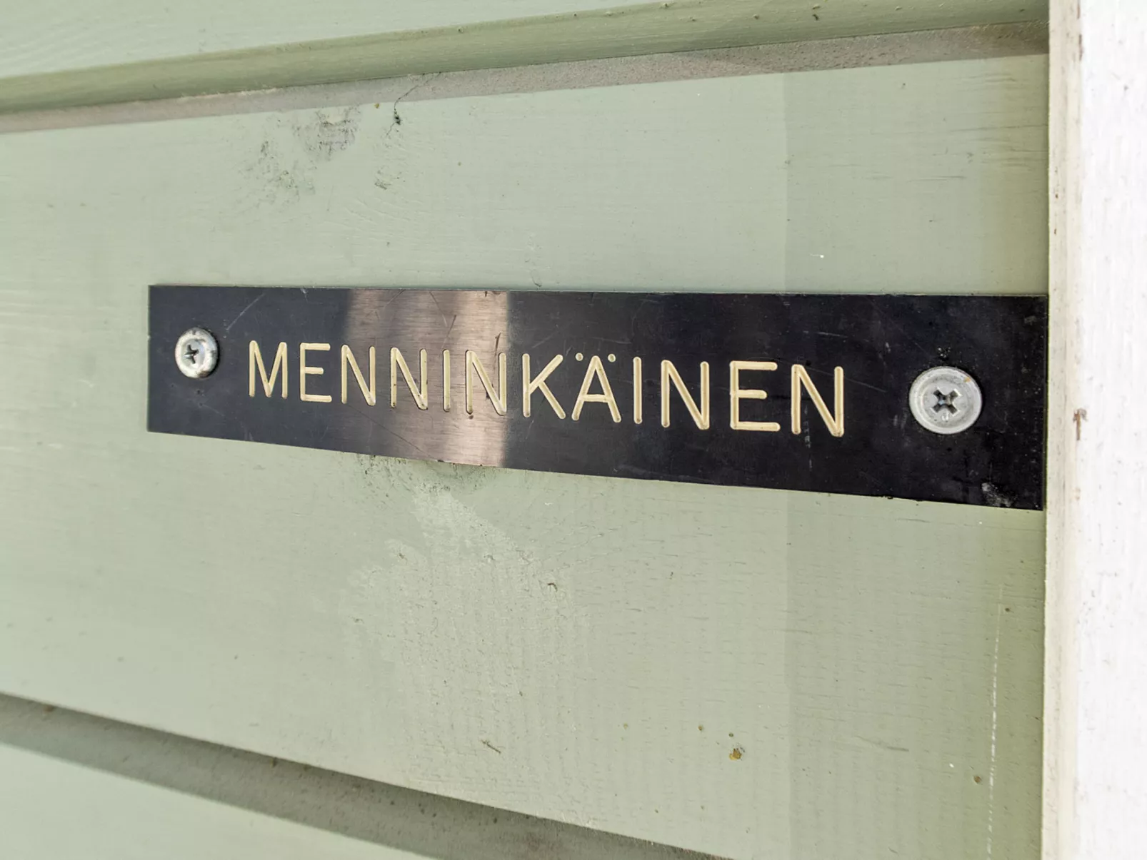 Menninkäinen - Drinnen