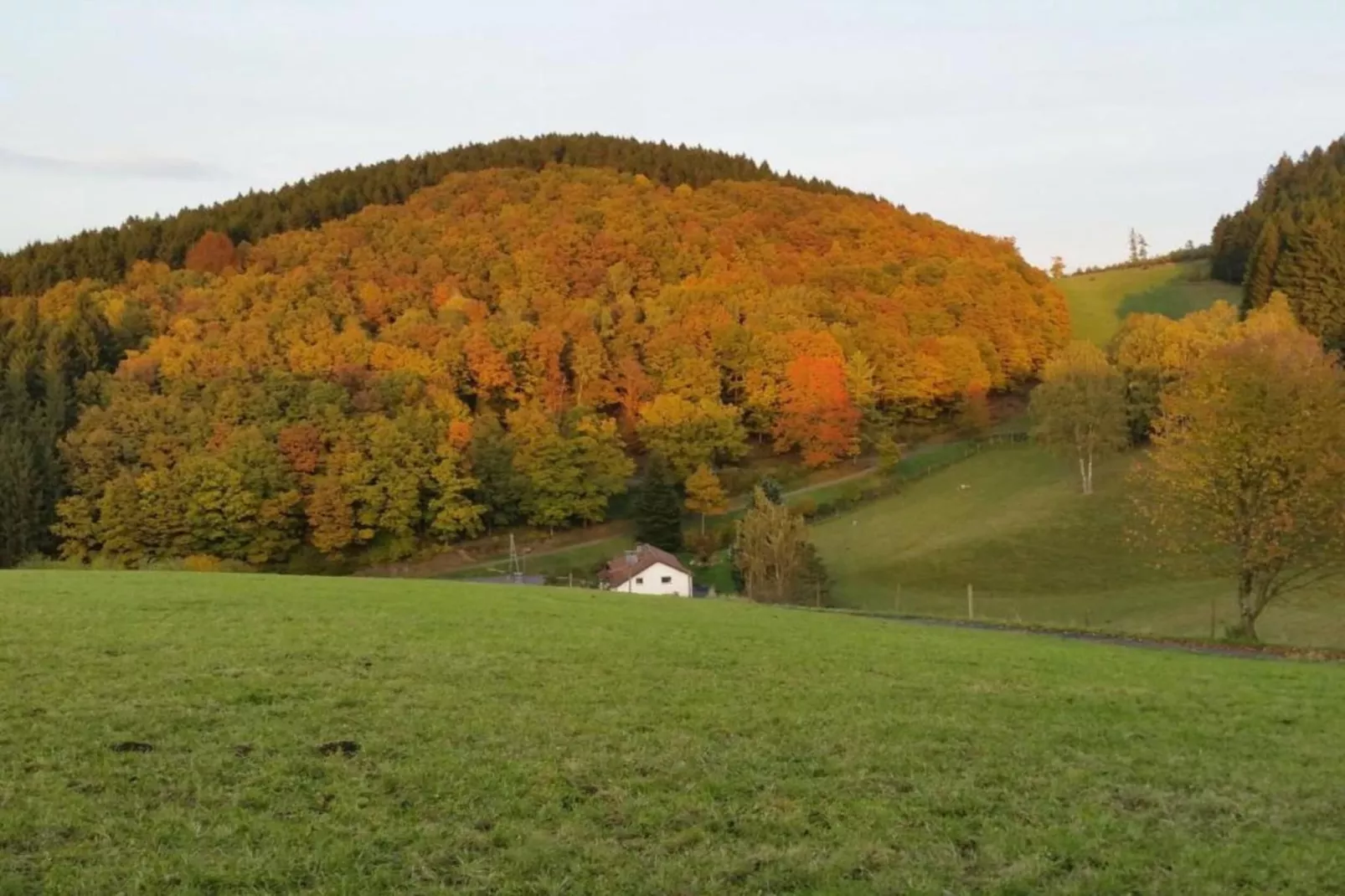 Am Damwildgehege - Gebiete Sommer 20 km