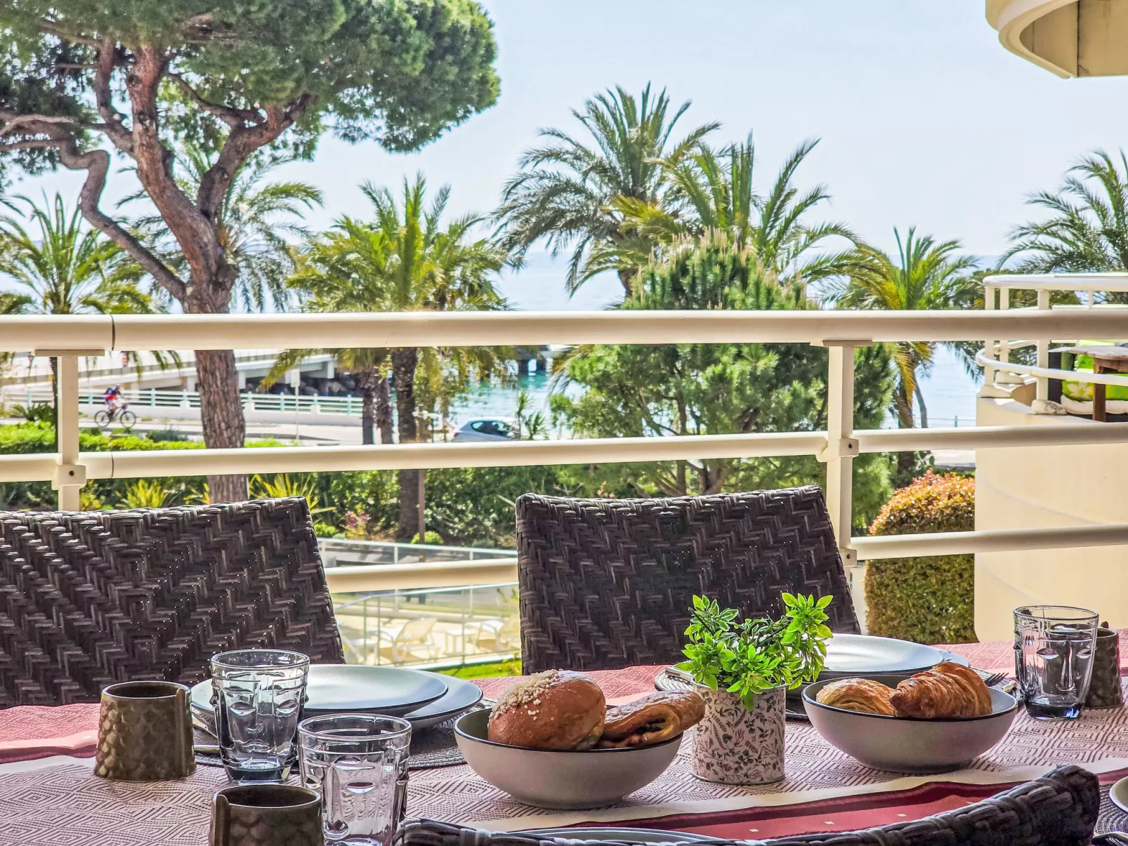 Royal Palm - Draußen