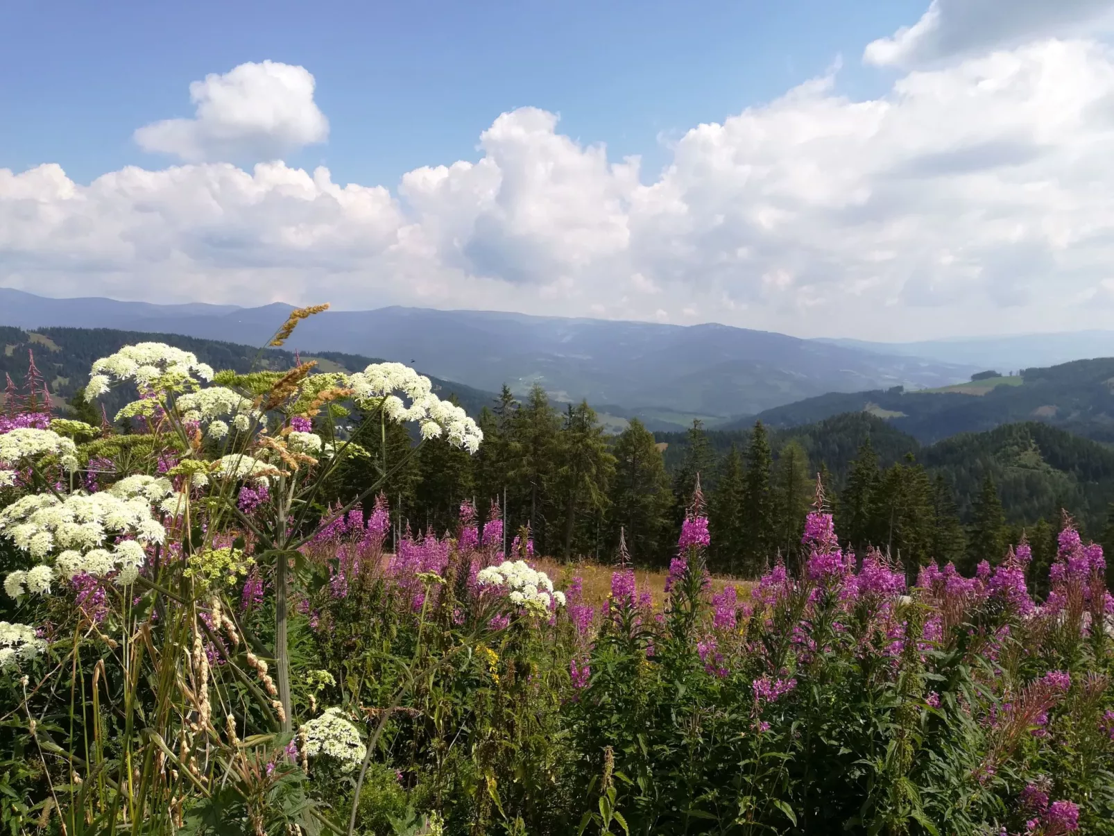 Gemütliche Bergehütte für acht Personen mit Outdoor-Badefass und Sauna - Outside