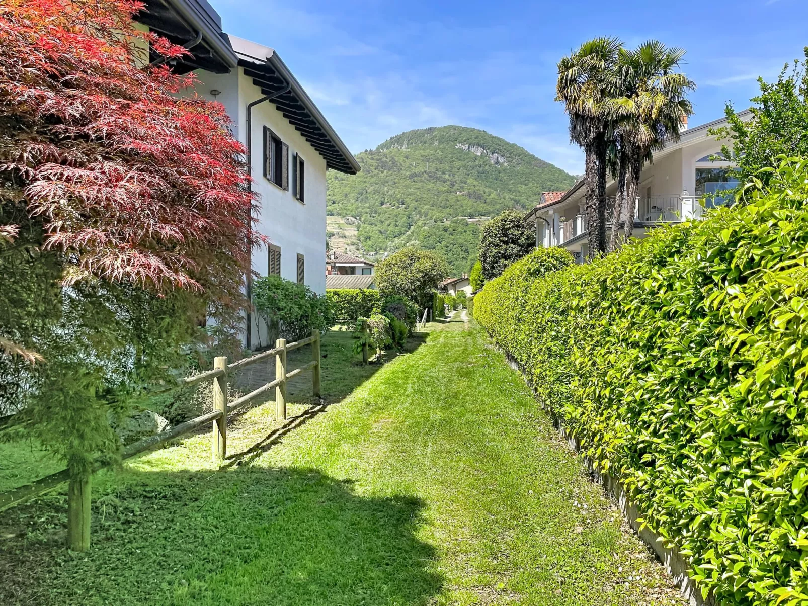 Jolanda - Draußen