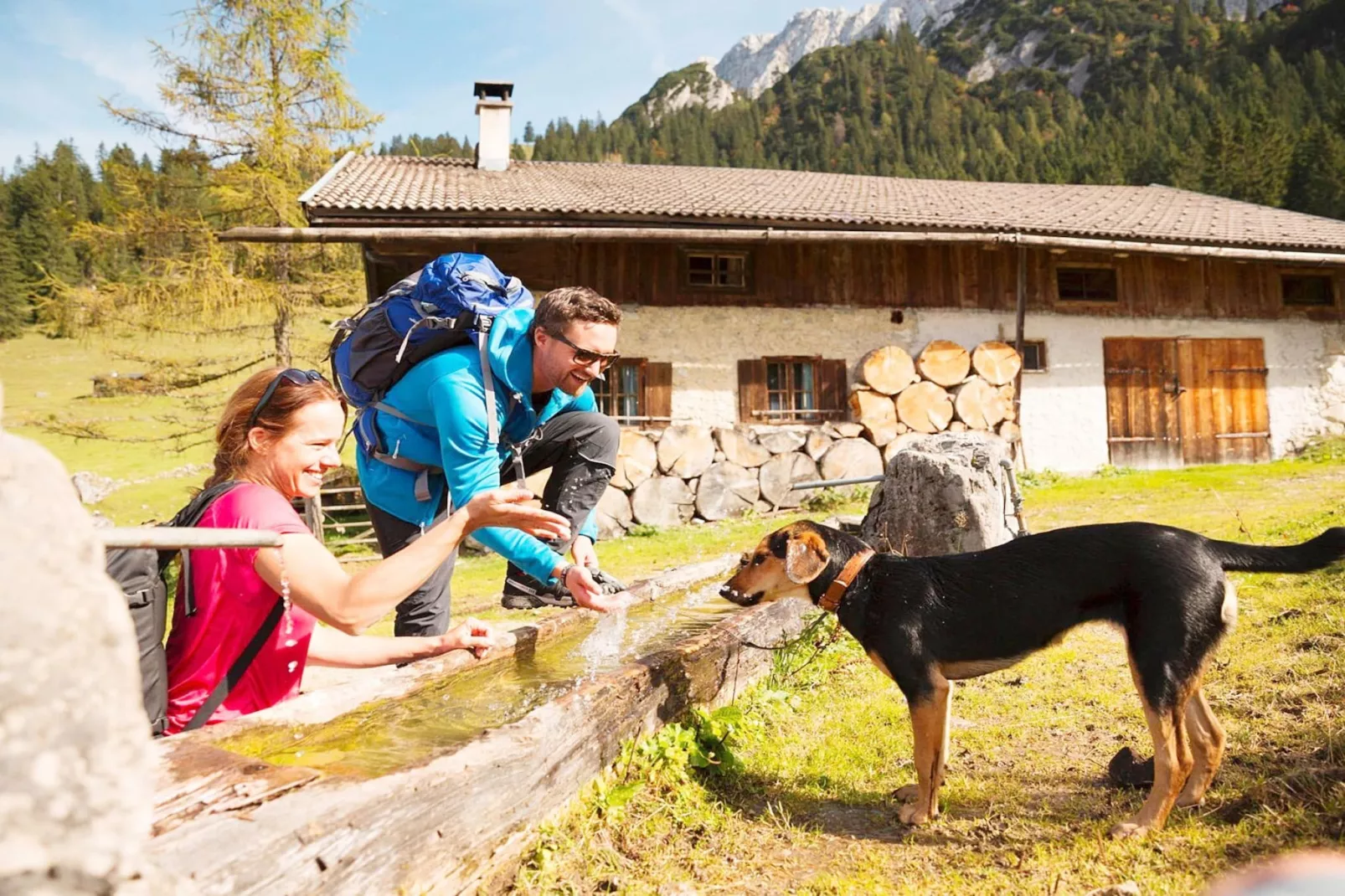 Ferienhaus Fankhaus - Areas within 1km in summer
