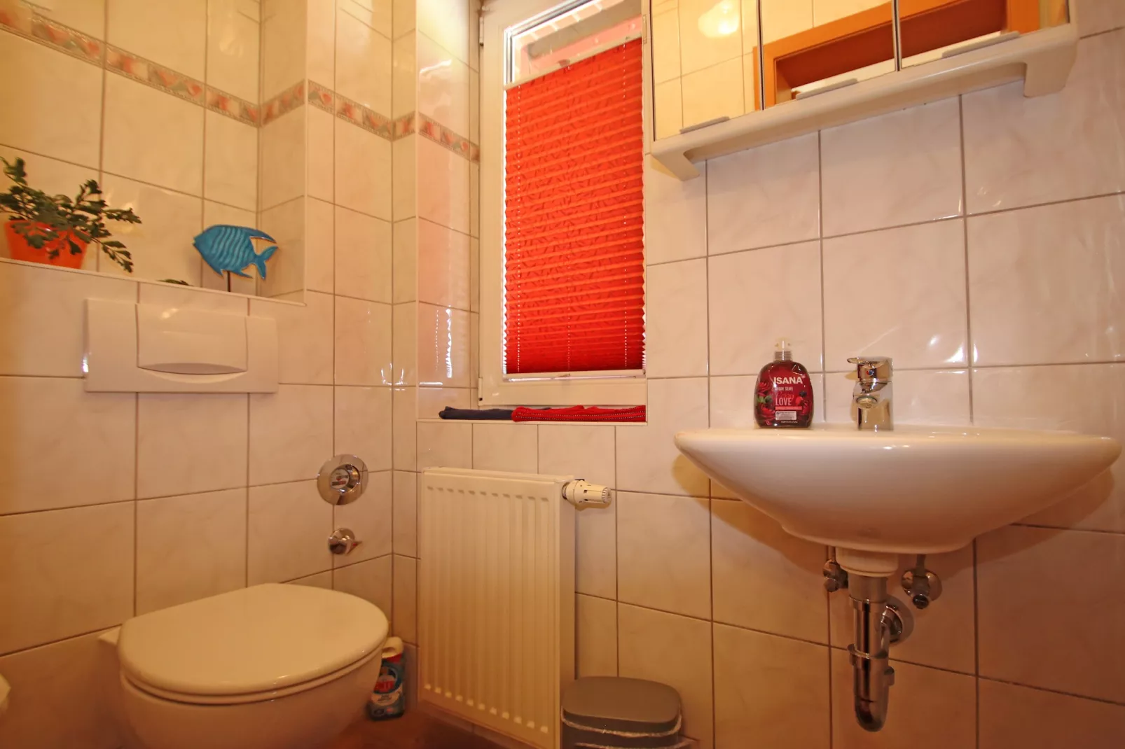 Schönes Ferienhaus in Alt Bukow Gaida - Bathroom