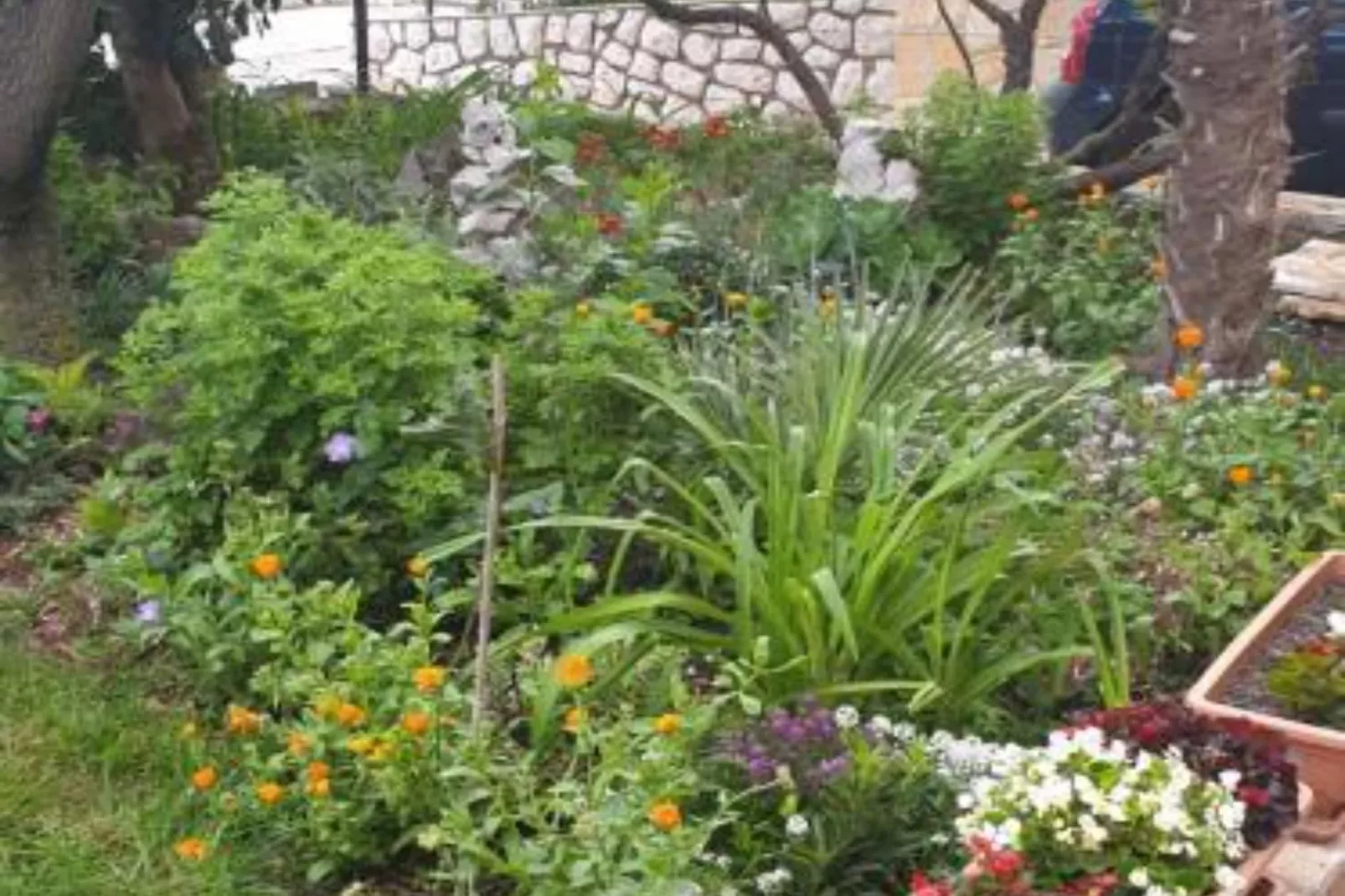 Apartments Marko - One Bedroom Apartment (Ground Floor) - Gardens in summer