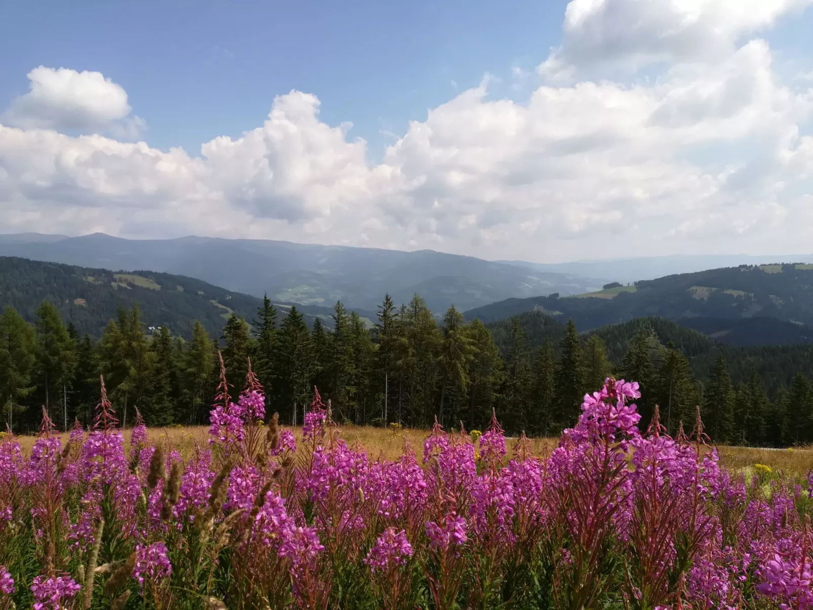 Gemütliche Bergehütte für acht Personen mit Outdoor-Badefass und Sauna - Outside
