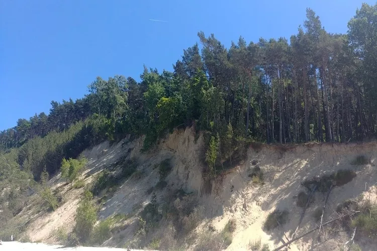 Sosenka - Gebiete Sommer 5 km