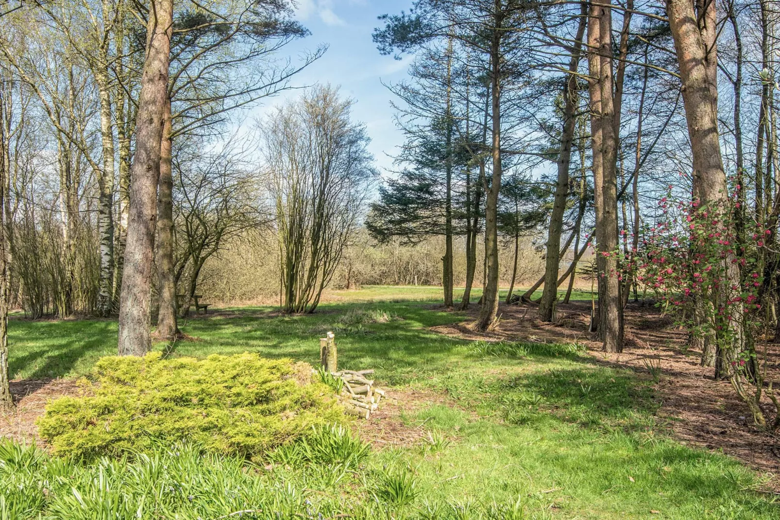 4 etoiles maison de vacances a Ansager