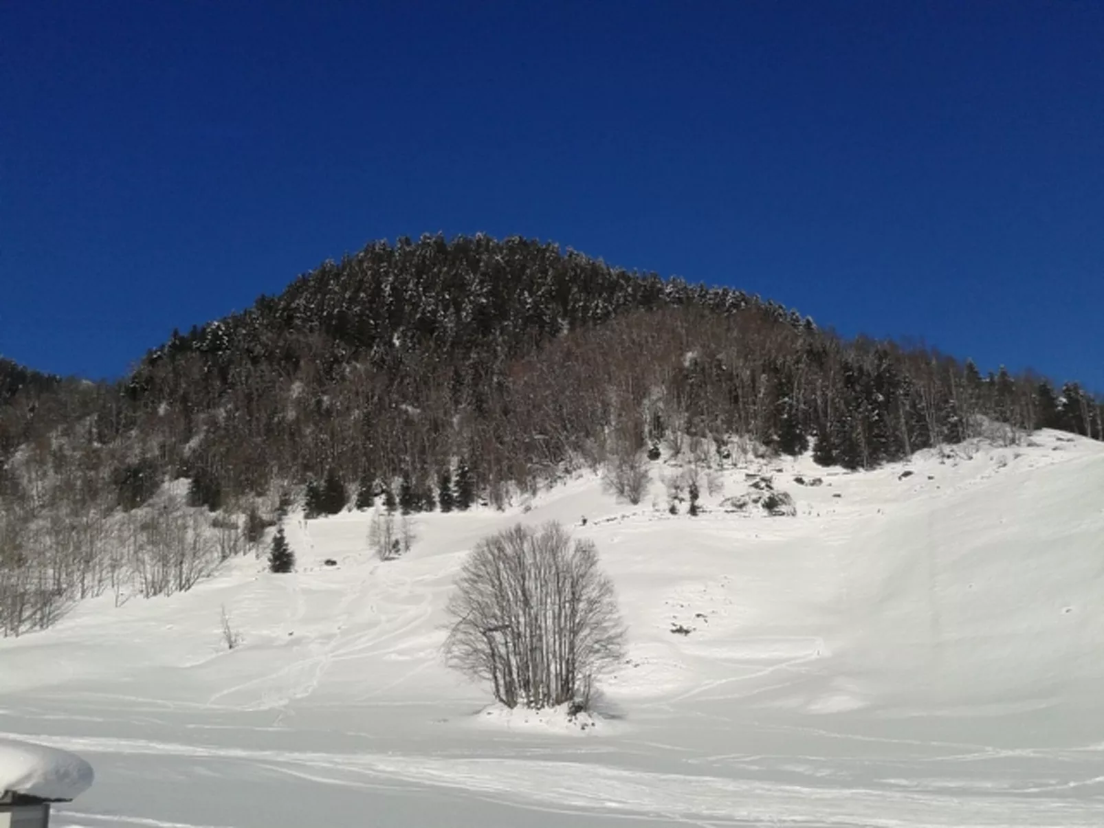 La Sclarida Kissling, (Segnas/Disentis). - Draußen