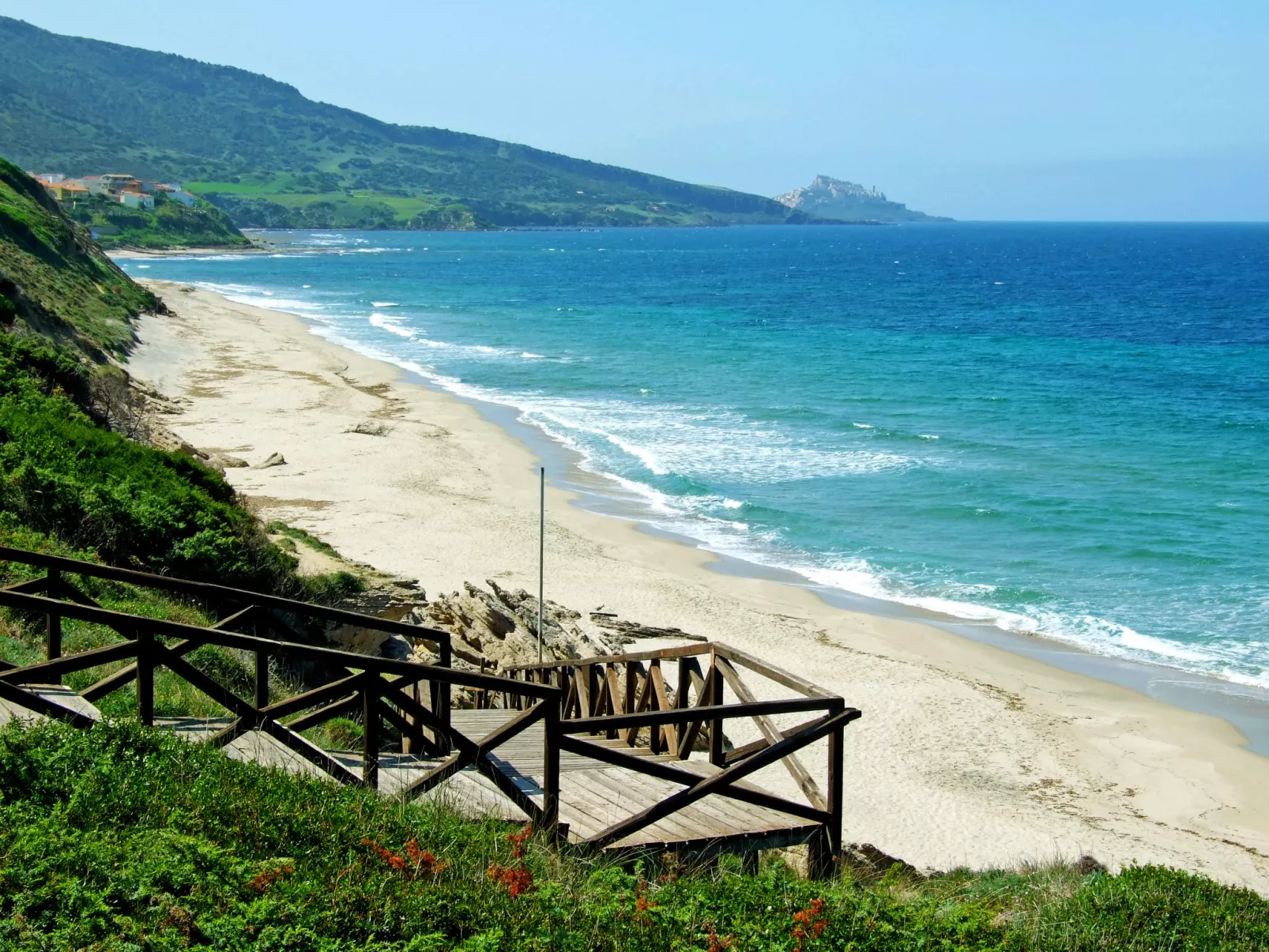 Eleonora-Area