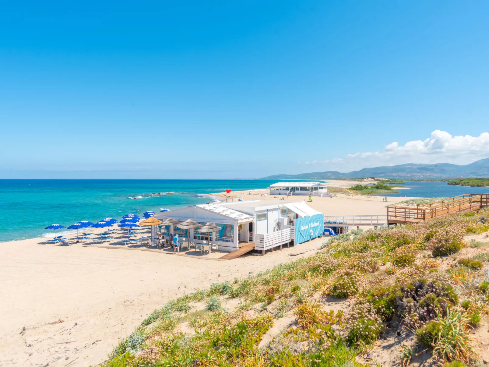 Eleonora-Area