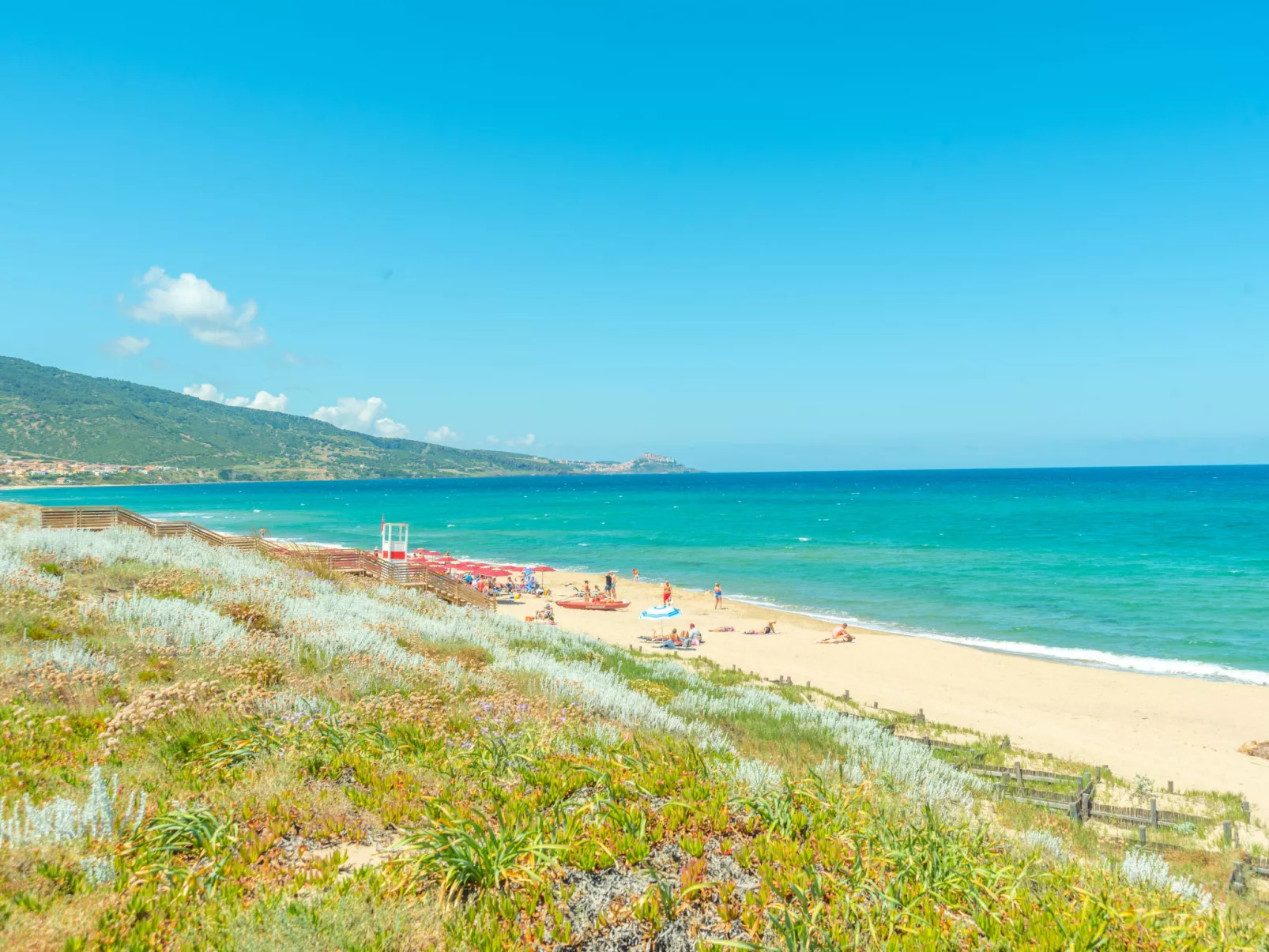 Eleonora-Area