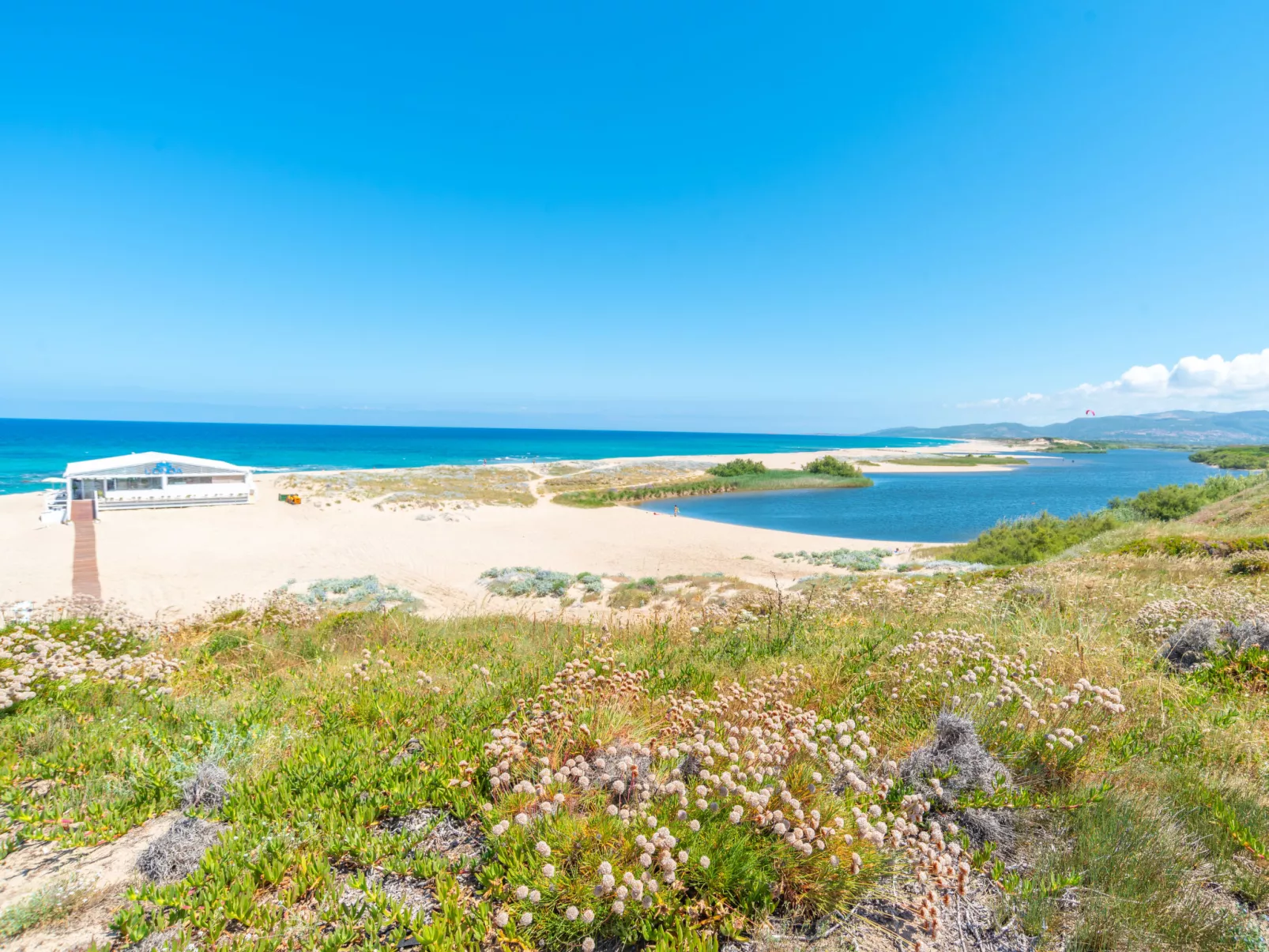 Eleonora-Area