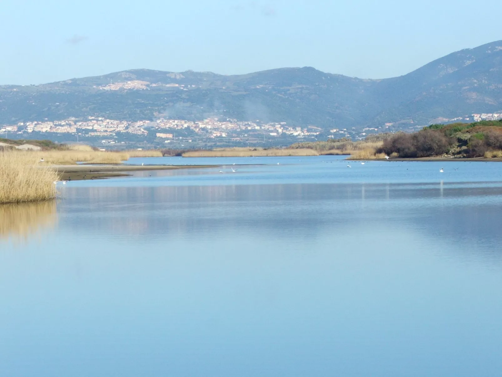 Eleonora-Area