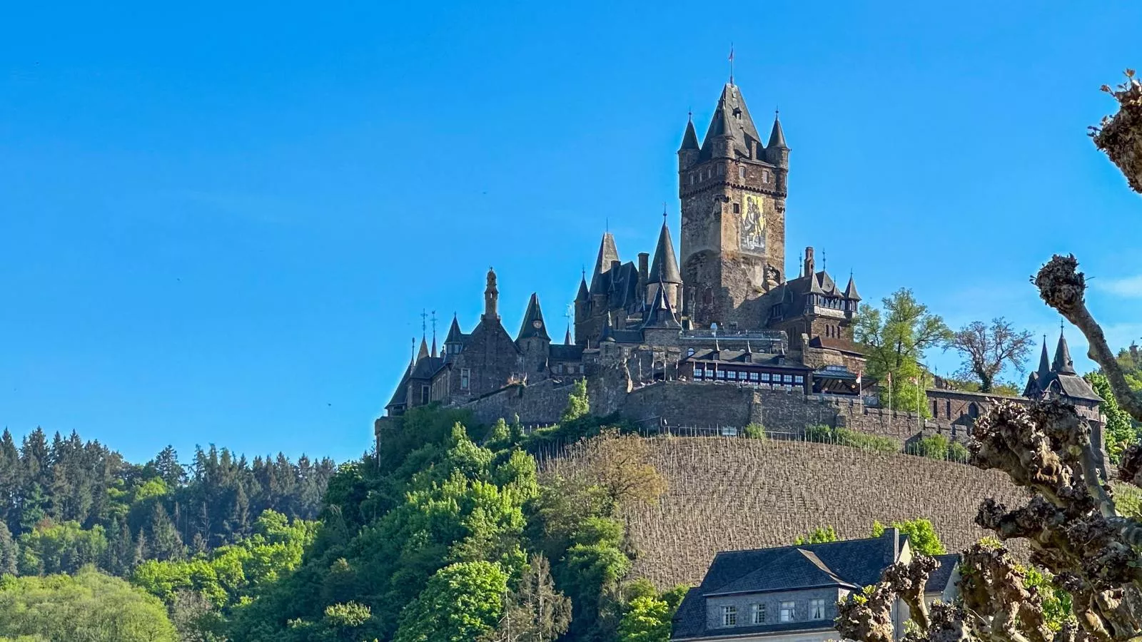 Cochem 2 - Gebiete Sommer 1 km