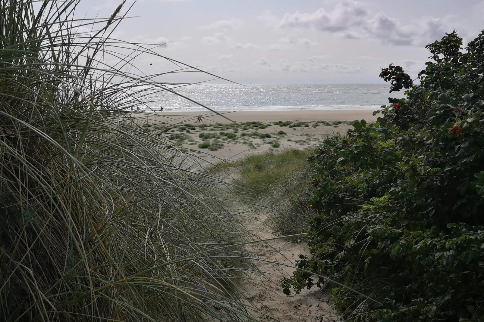 Maison de vacances pour 4 a Blåvand - Non tagué