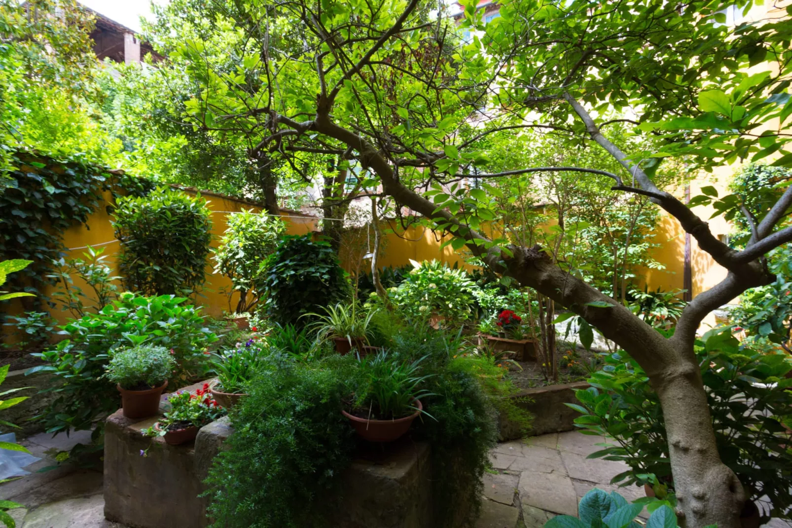 Casa Giustina - Garten Sommer