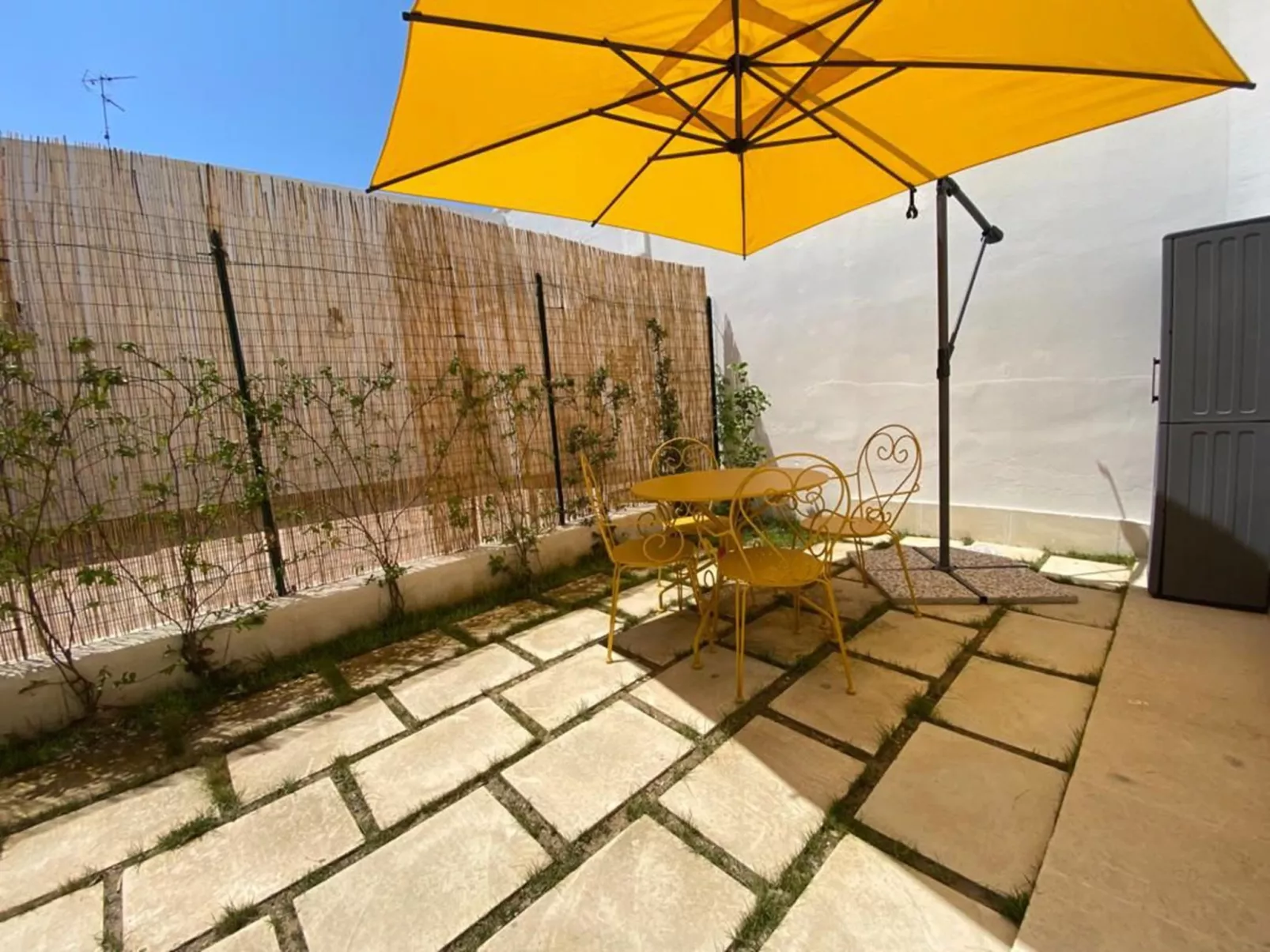 Spicchi di Salento - Limone-Outside