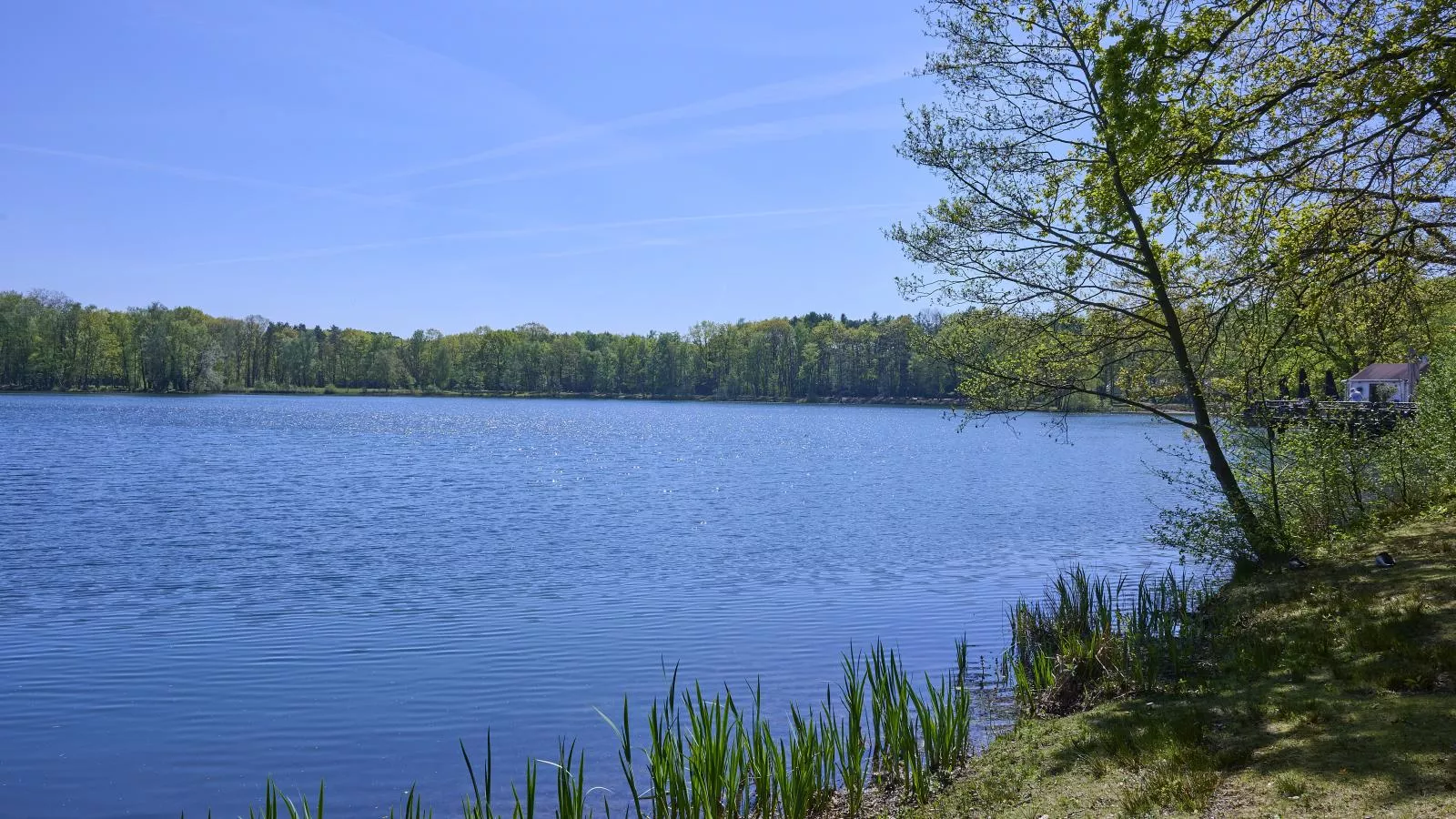 Le Petit Bois - Gebiete Sommer 1 km