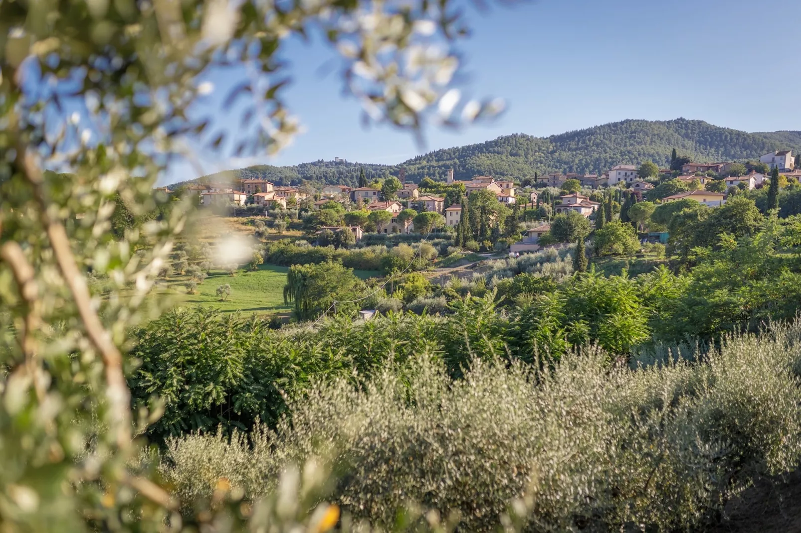 Casa del Re - Gebiete Sommer 1 km