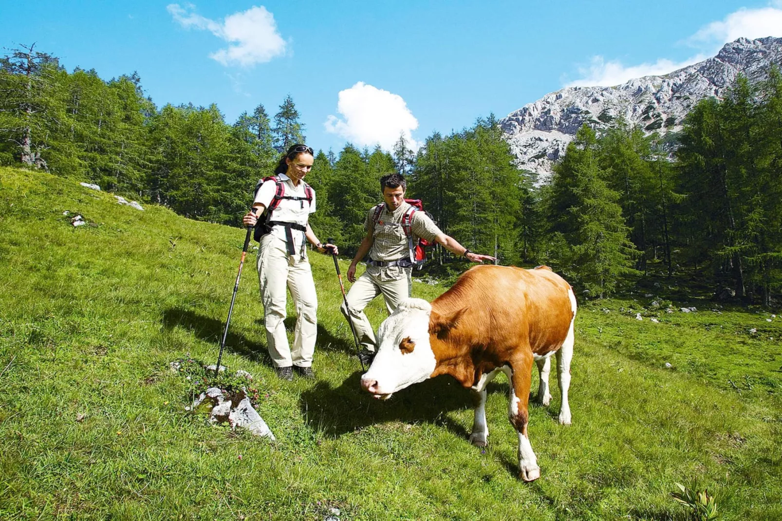 Ferienhaus Kathrin - Areas within 1km in summer