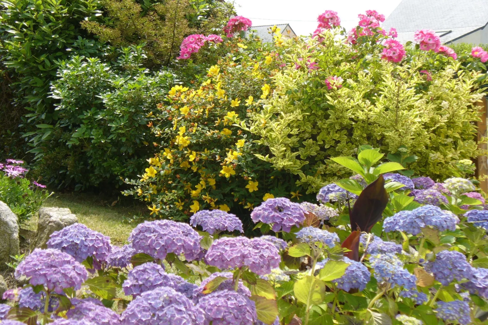 	Ferienhaus in Strandnähe Plouarzel - Garten Sommer
