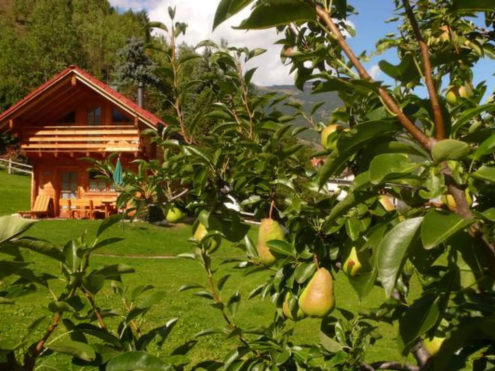 Chalets Trafögl, (Müstair). - Dehors