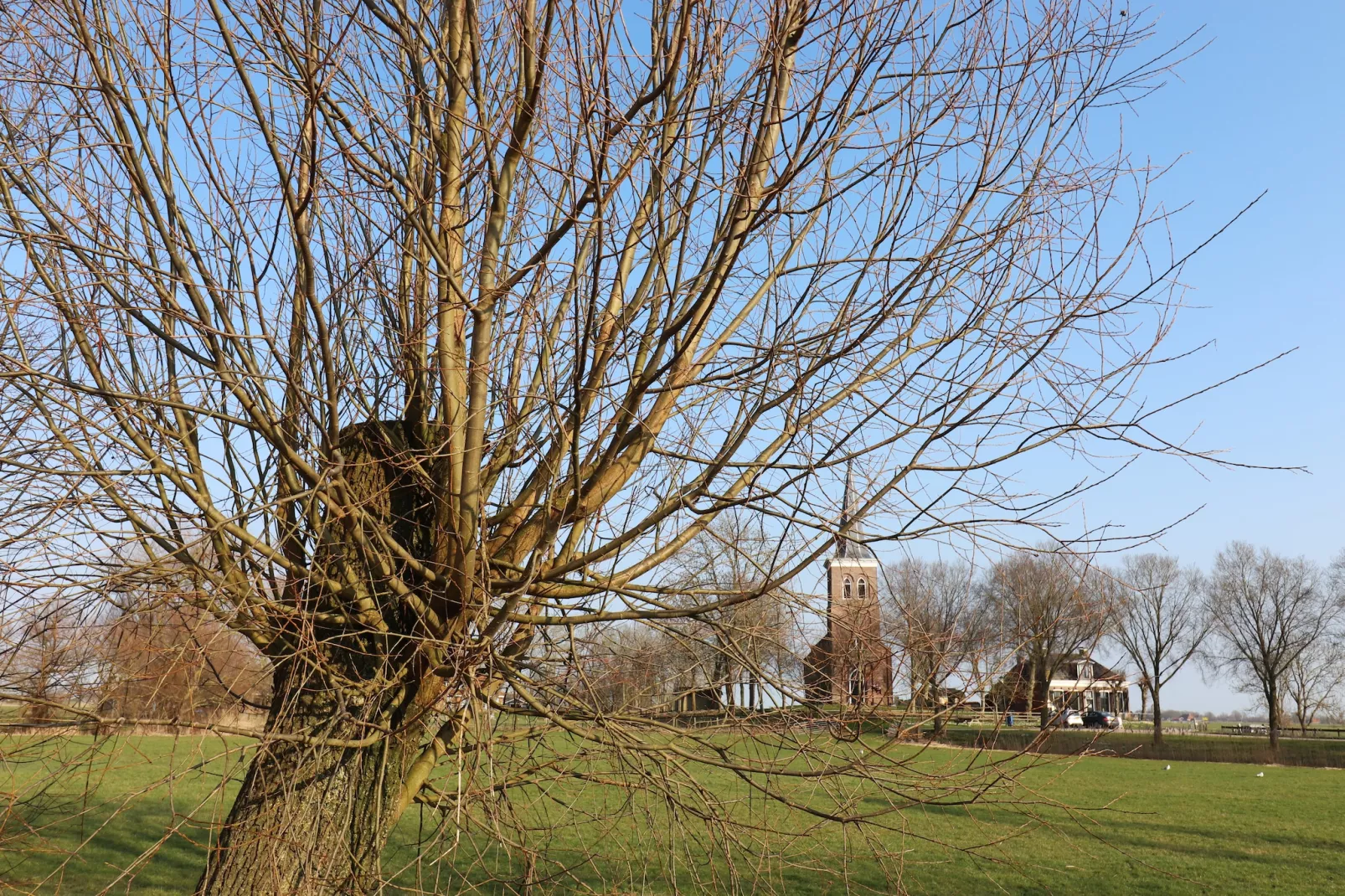 Moderne villa op het Friese platteland - Aussicht Sommer