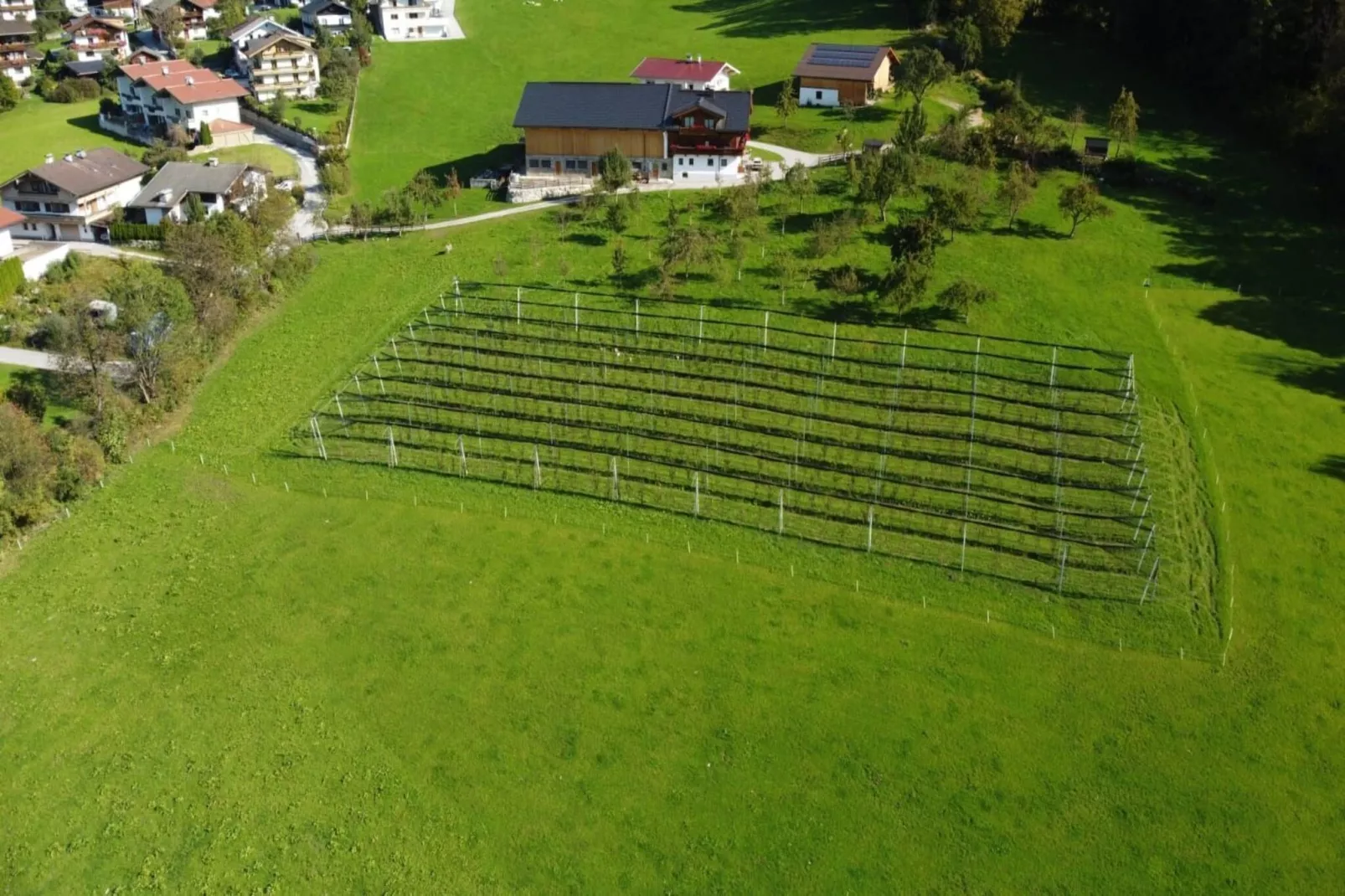 Steinachhof - View in summer