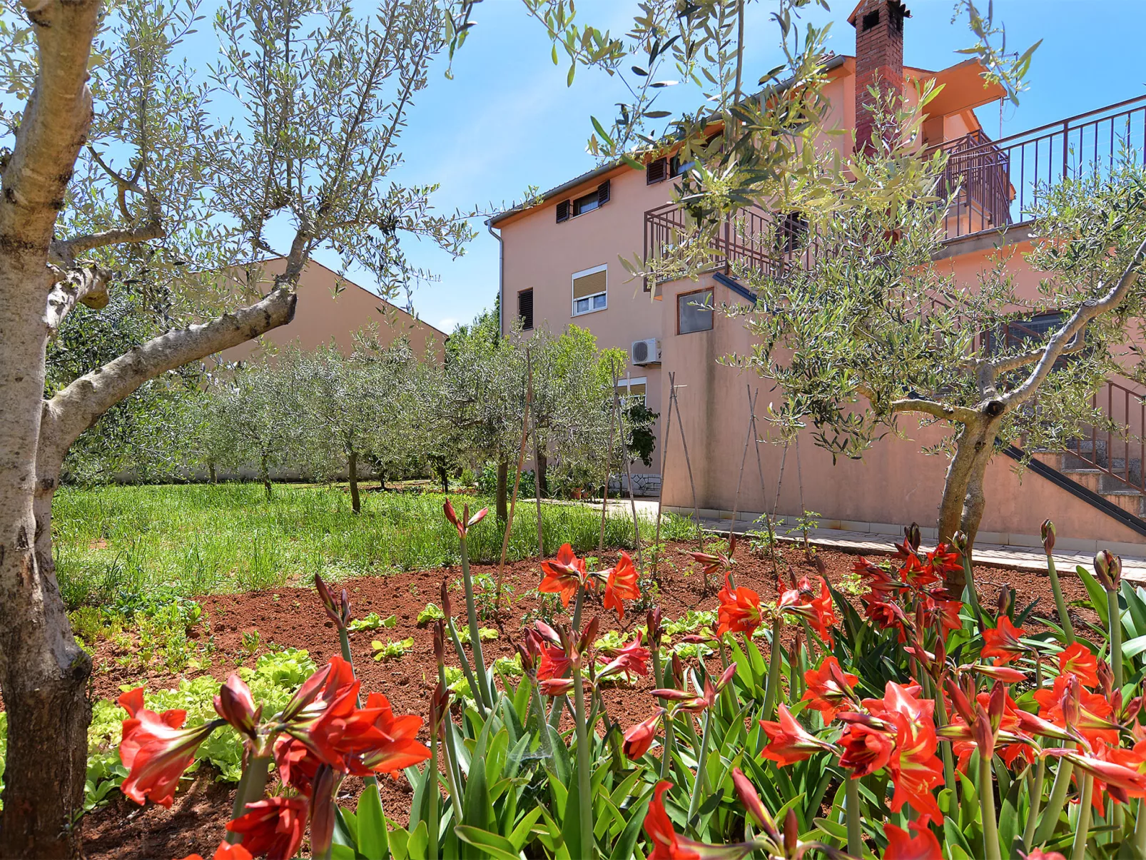 Apartment 250 - Draußen