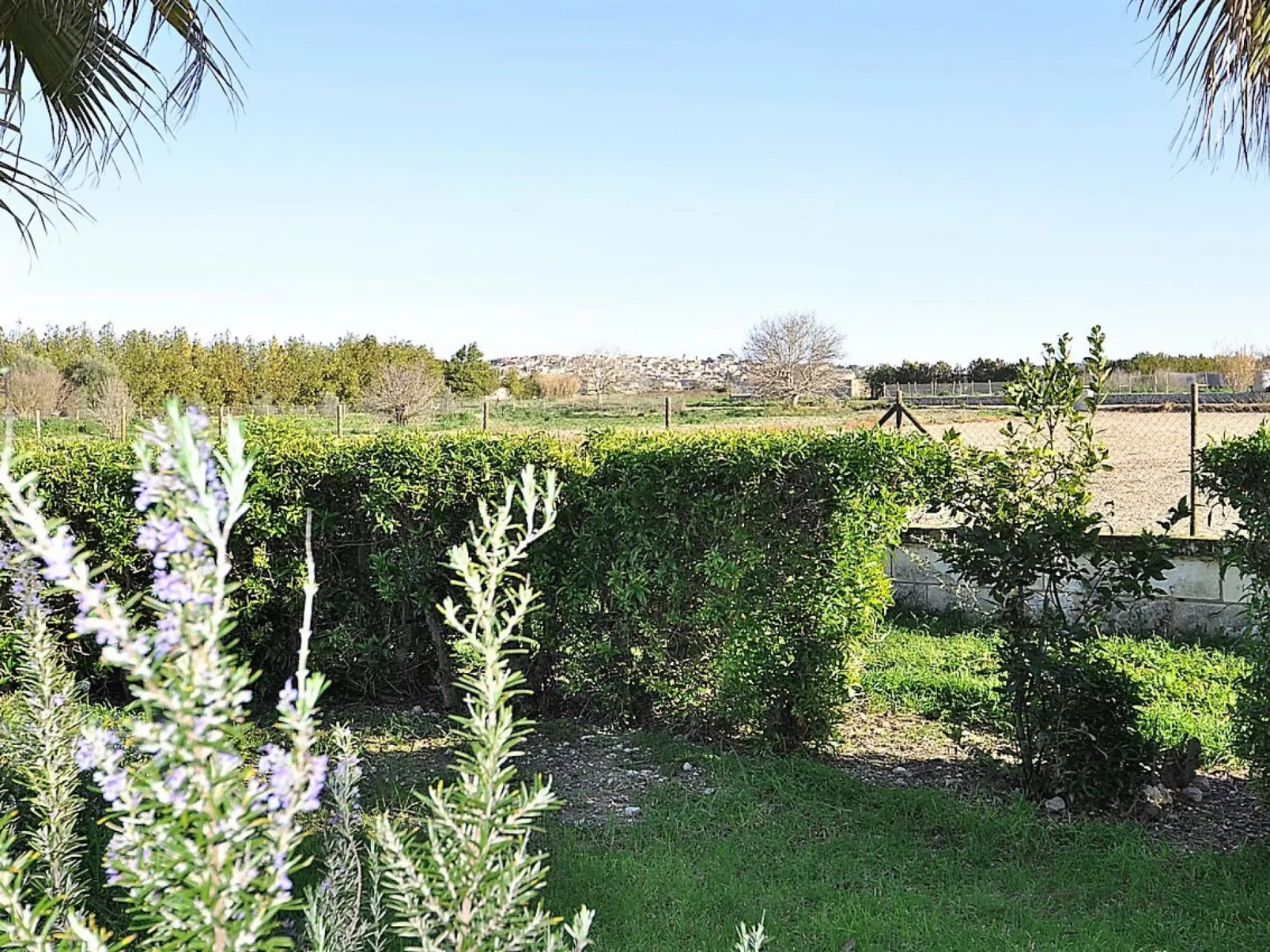 Finca SON VANRELL -Finca Rústica en Montuiri. Piscina Privada. Mallorca - WiFi - Outside
