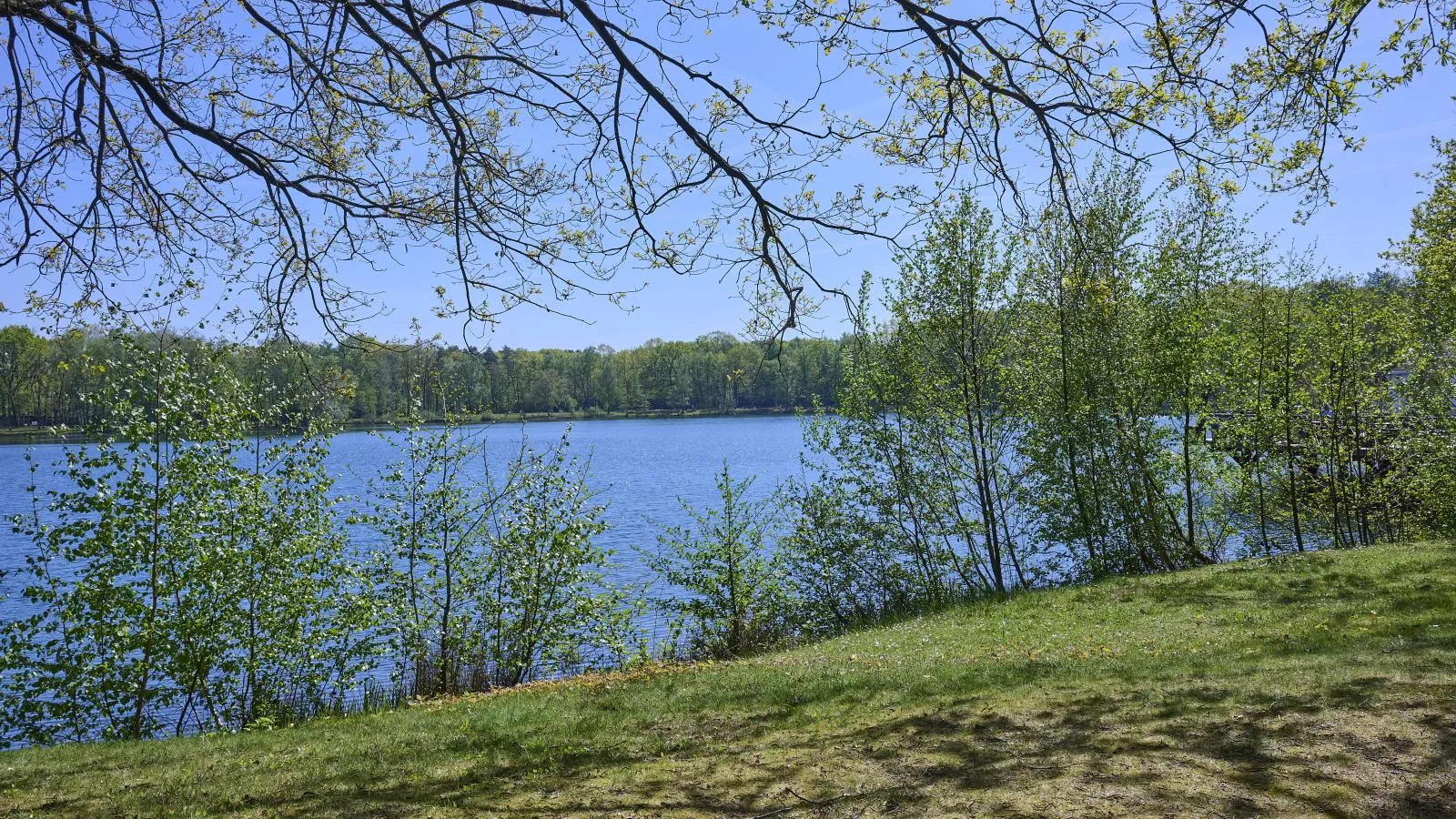 Le Petit Bois - Gebiete Sommer 1 km