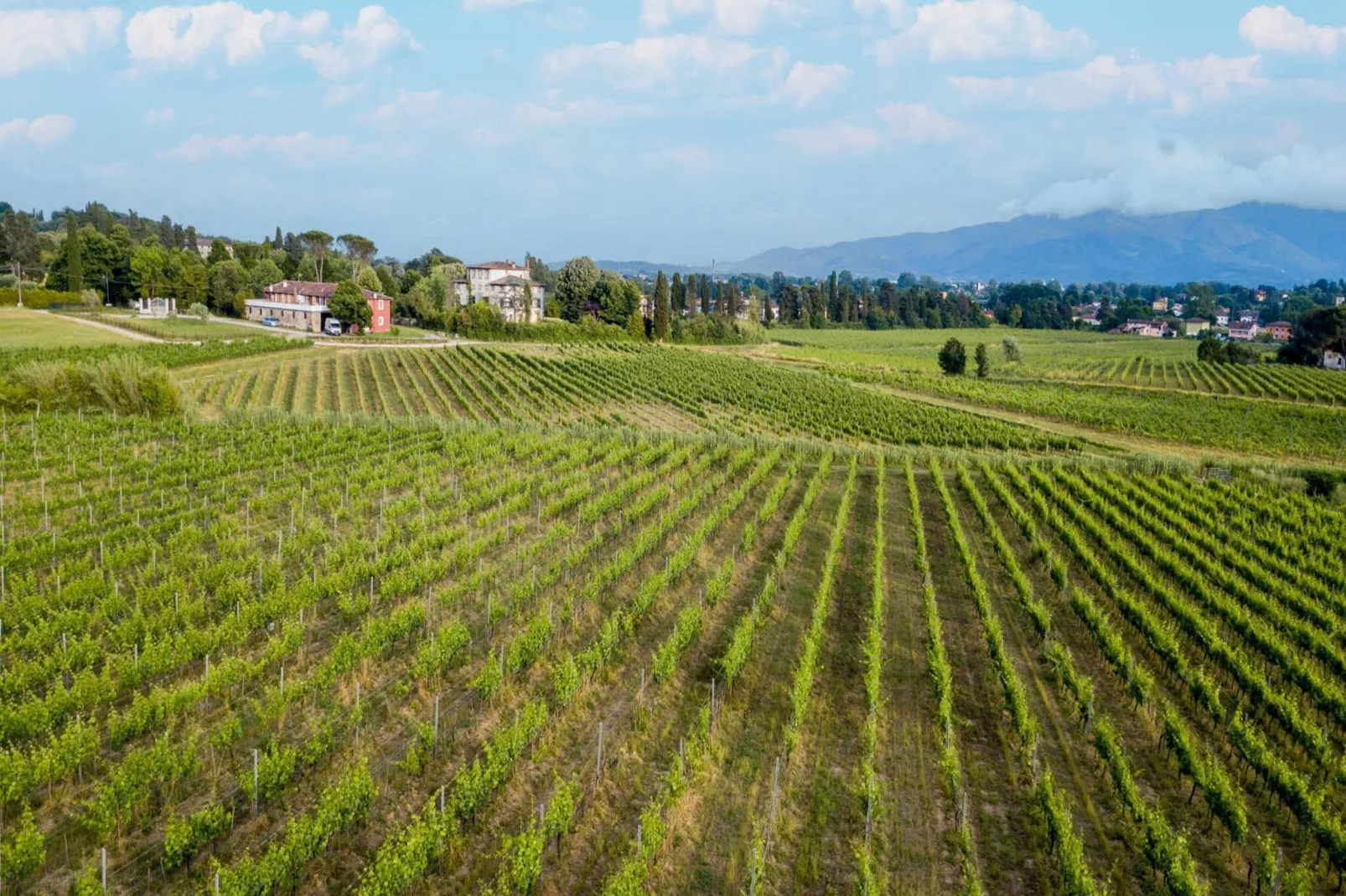 Anna Farmhouse Apartment in Wine Resort in Lucca - Außenbereich Sommer
