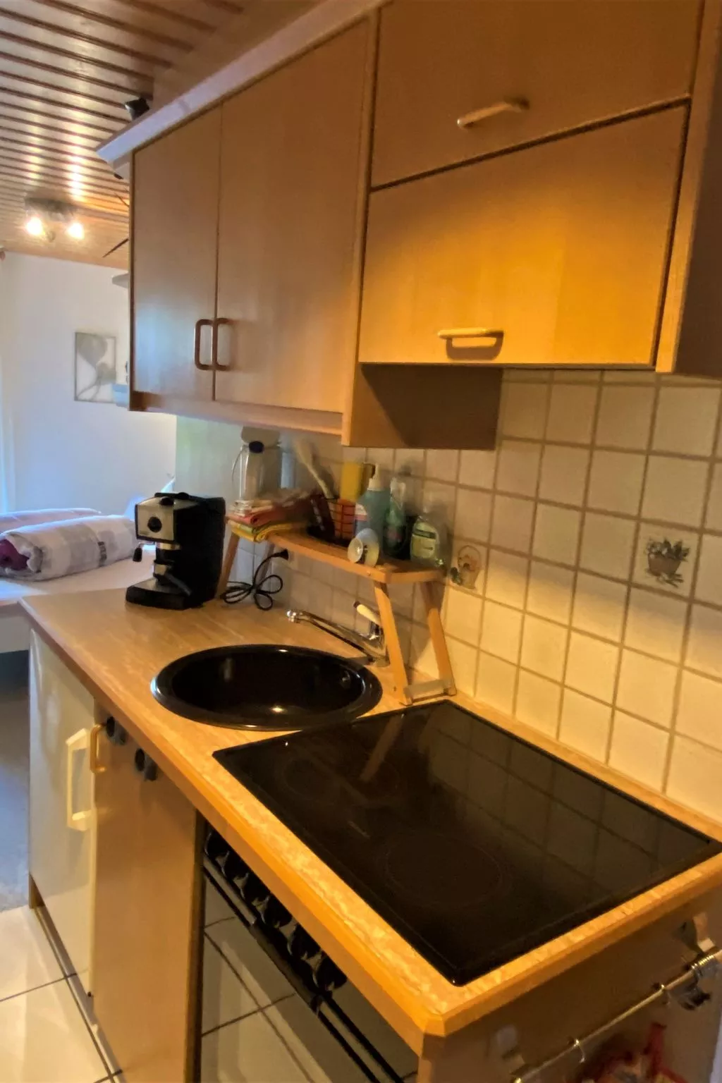 Ferienwohnungen Senda 495D, (Scuol). - Inside