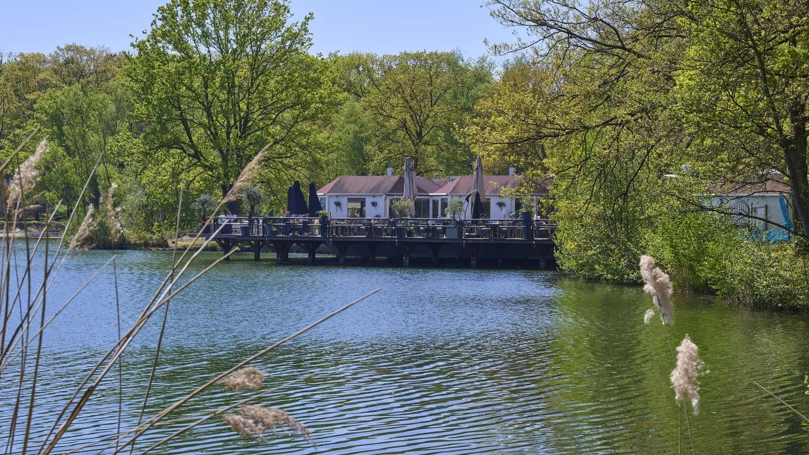 Le Petit Bois - Gebiete Sommer 1 km