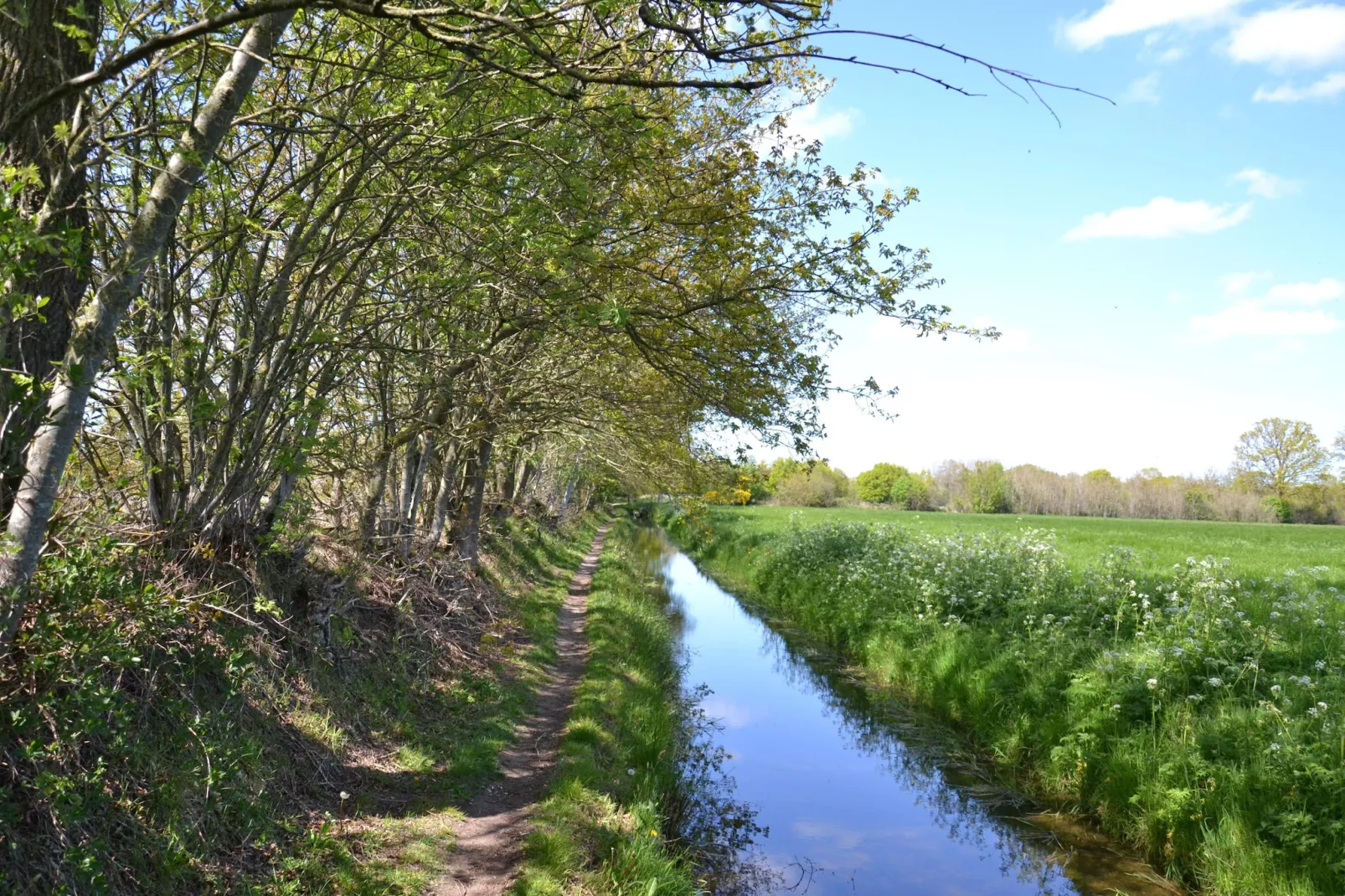 Buitenvreugde - Zones été à 5 km