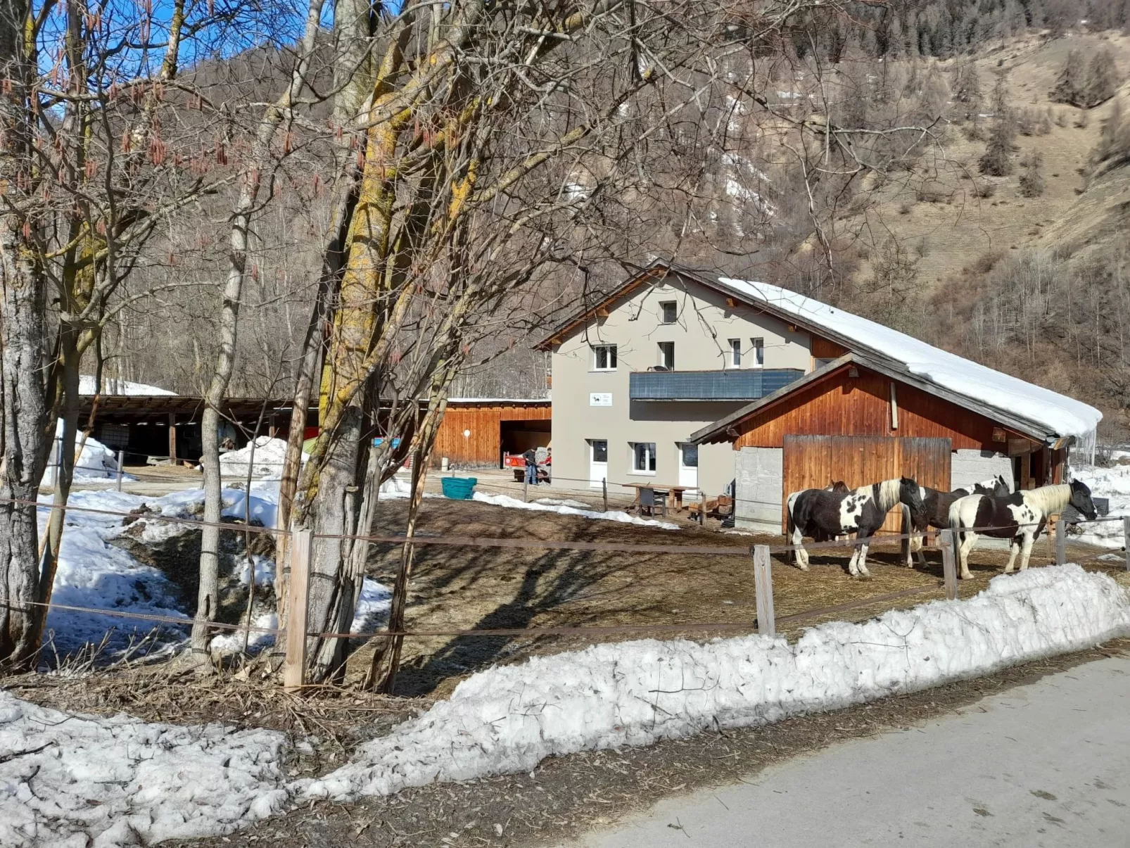 Ferienwohnungen Paclerahof, (Sta. Maria - Santa Maria Val Müstair). - Outside