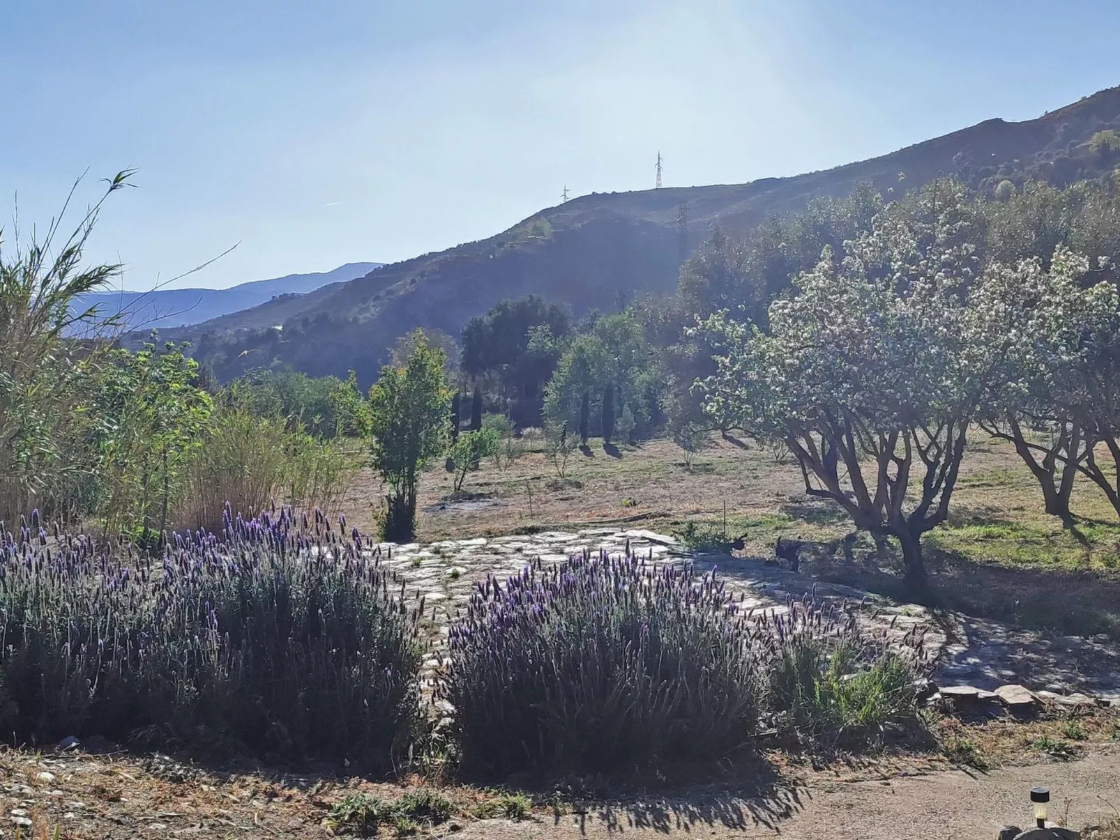 Gemütliches Haus mit Schwimmbad in La Alpujarra - Dehors
