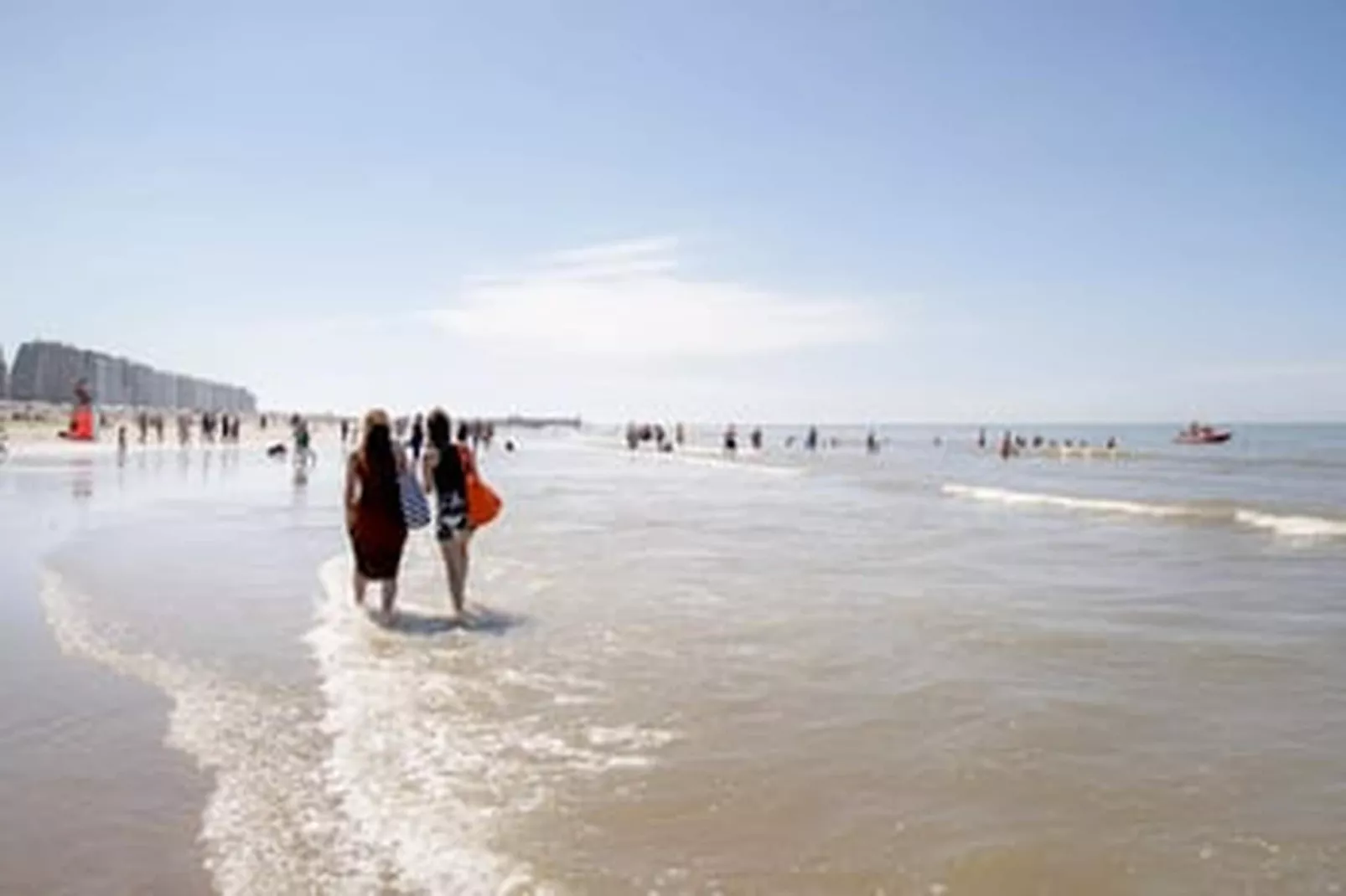 SEAFLOWER 5 - Areas within 1km in summer