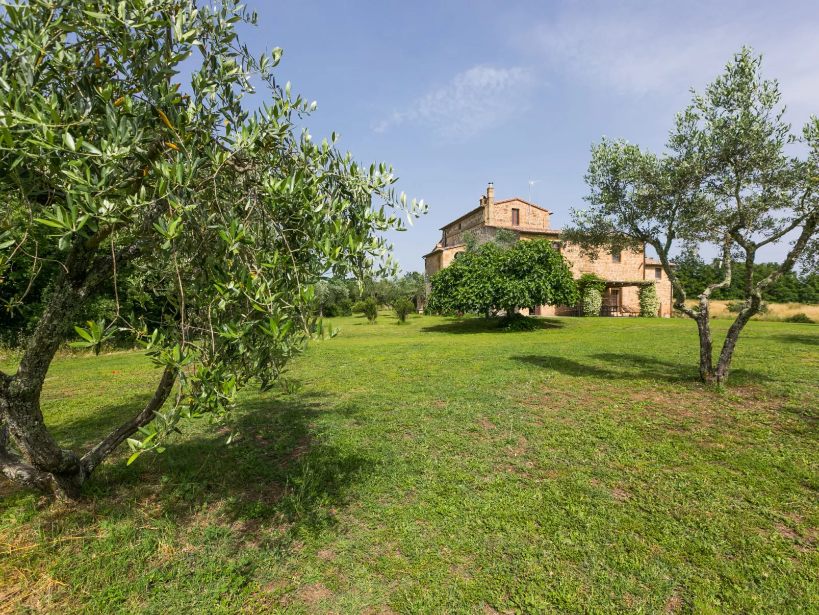 Il Piccione-Outside