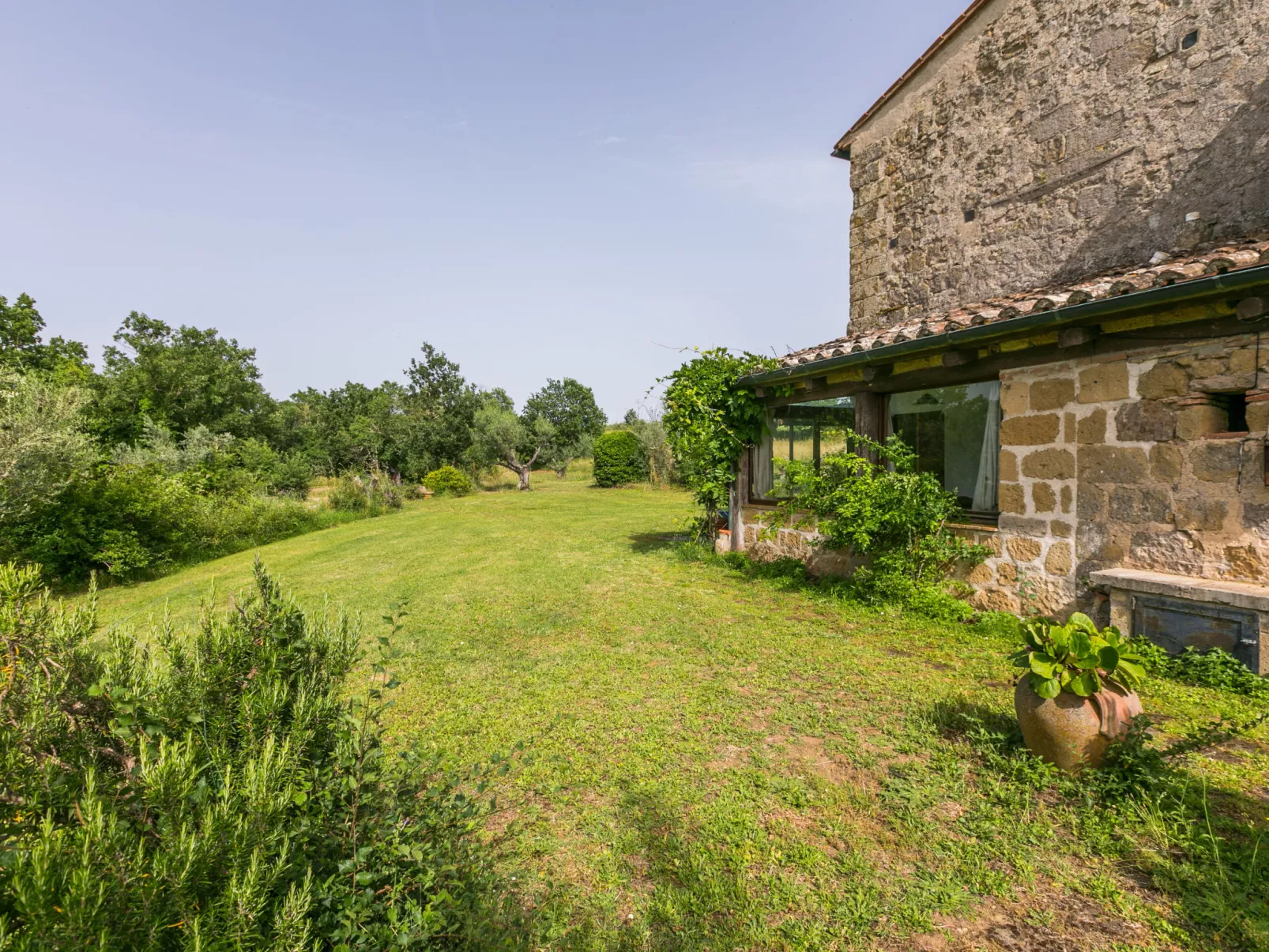 Lavanda-Outside