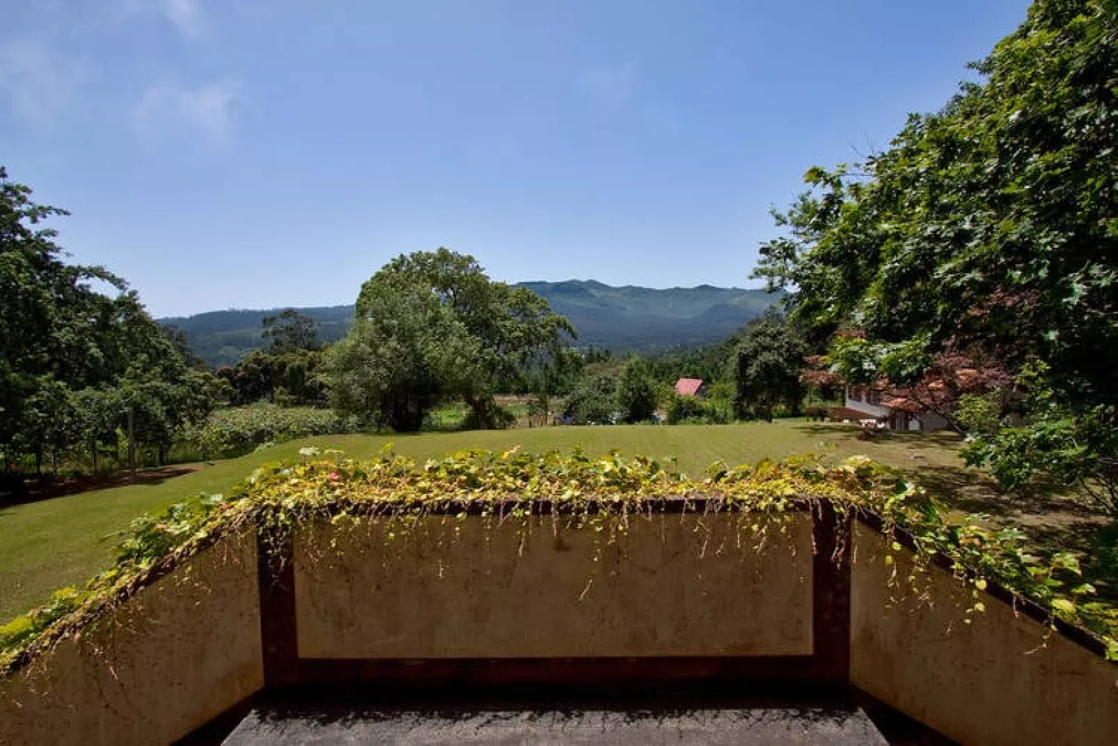 Quinta das Colmeias House-Gardens summer