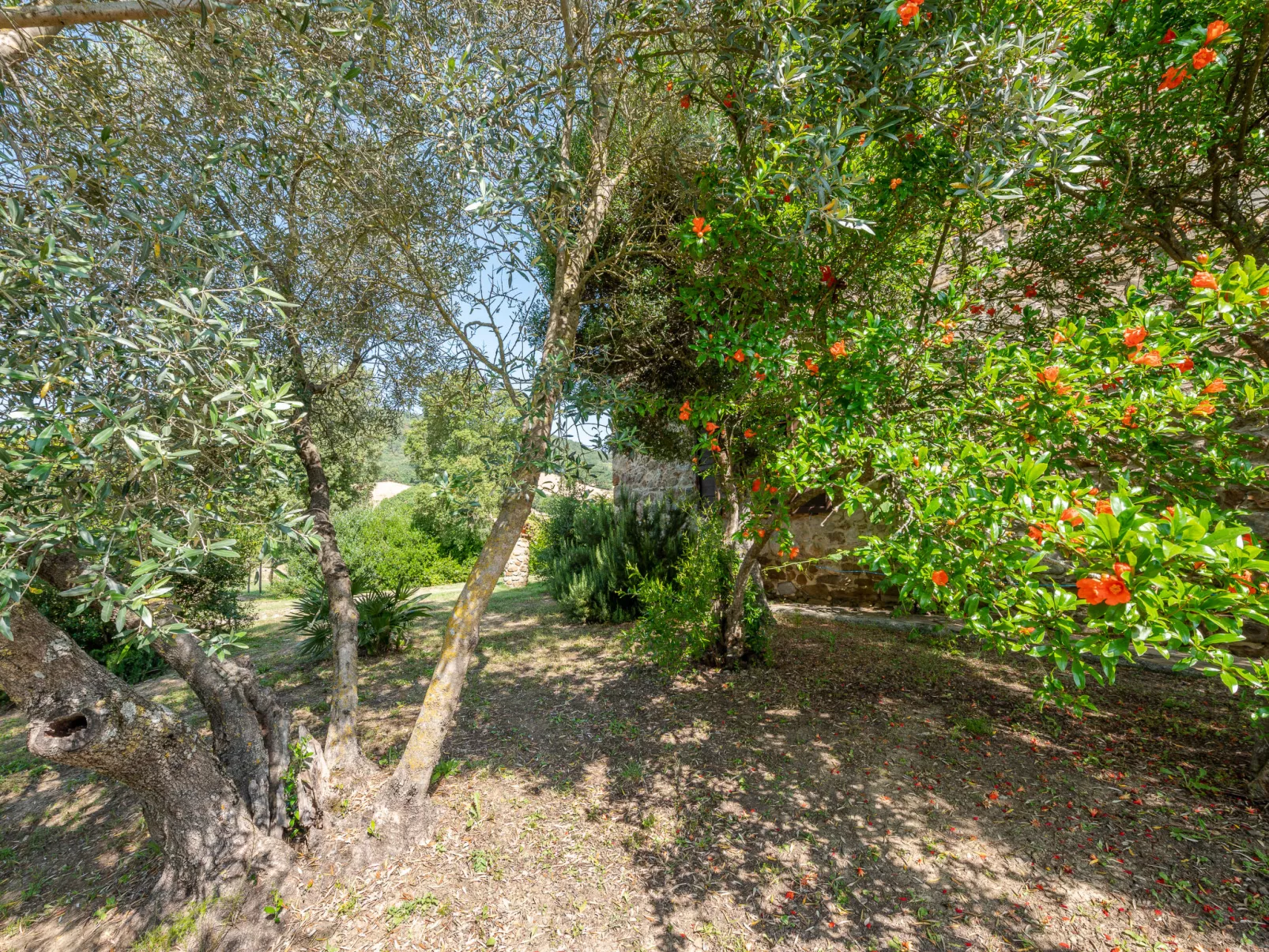 Le Calle-Dehors