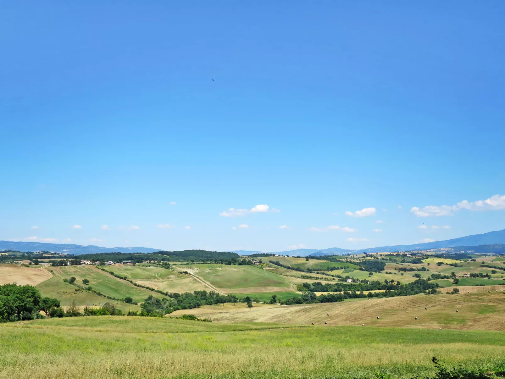 Olinto-Area