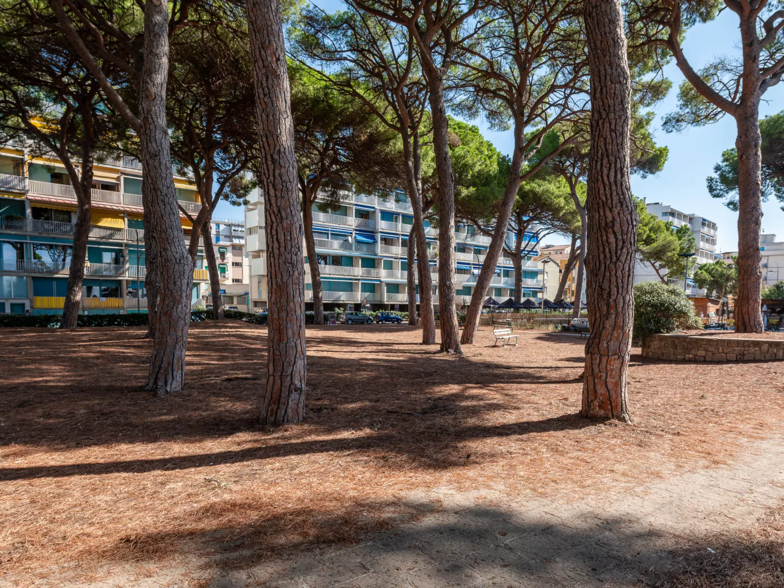 La Pineta-Outside