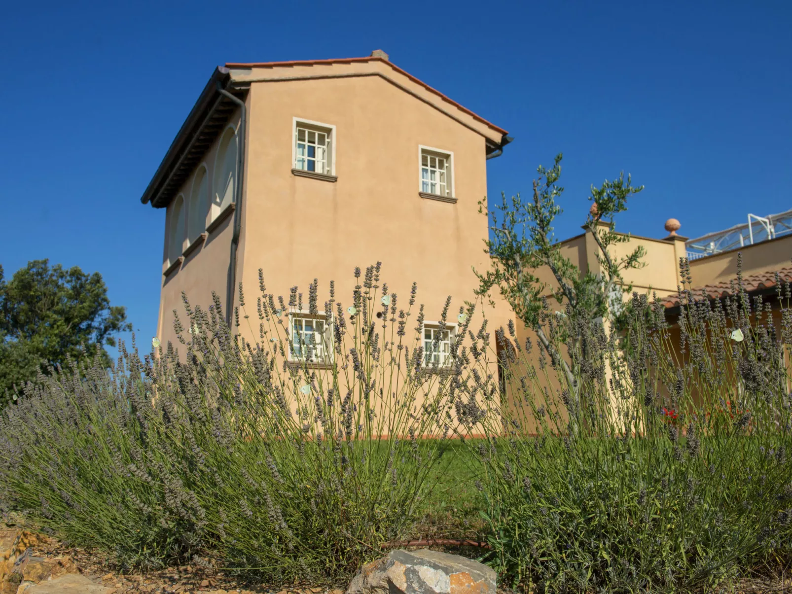 Poggio al Pruno-Outside