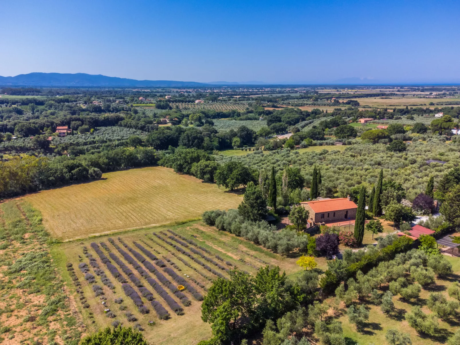 Tramontana-Dehors